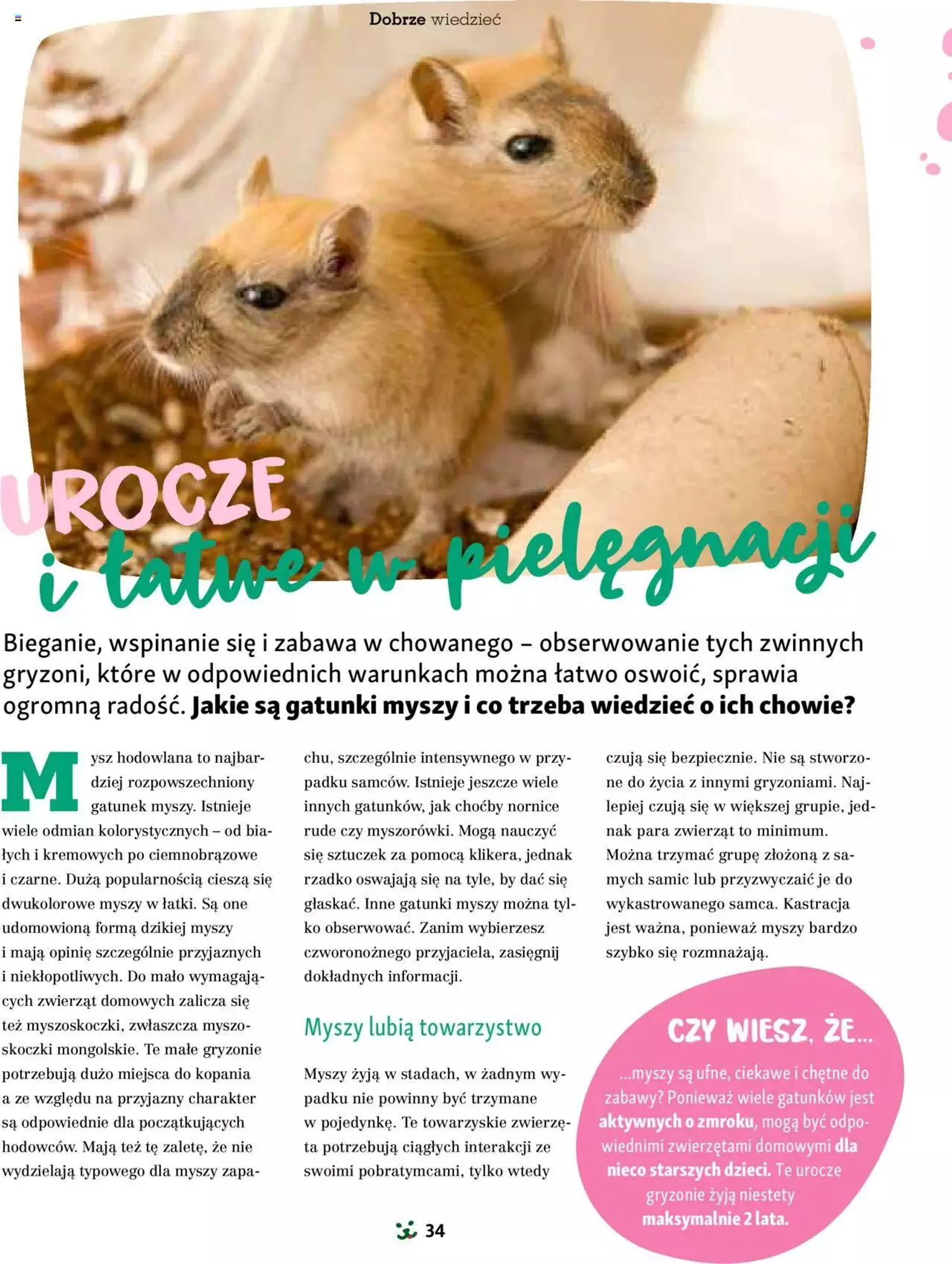 Maxi Zoo Gazetka - Magazyn - 33