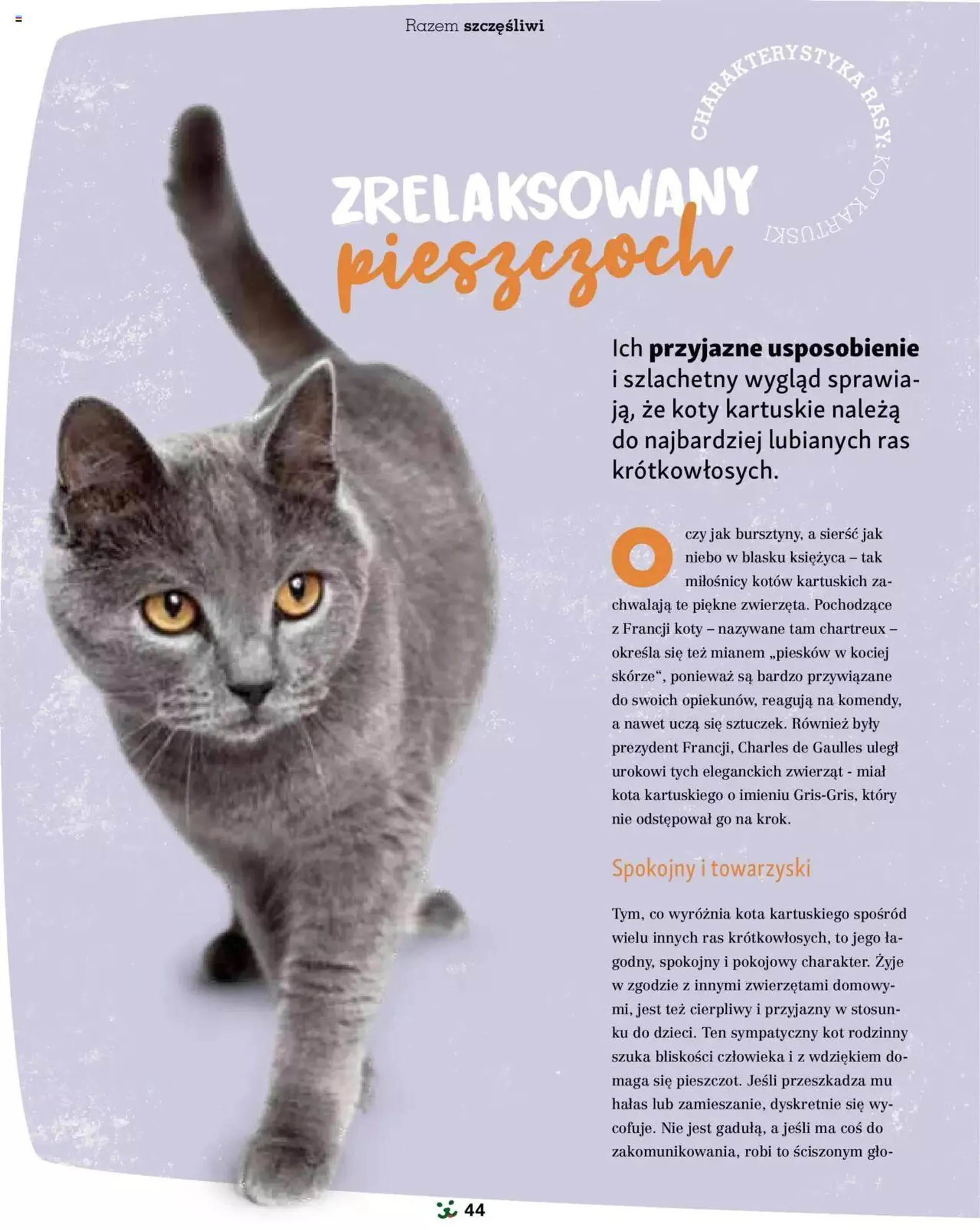 Maxi Zoo Gazetka - Magazyn - 43