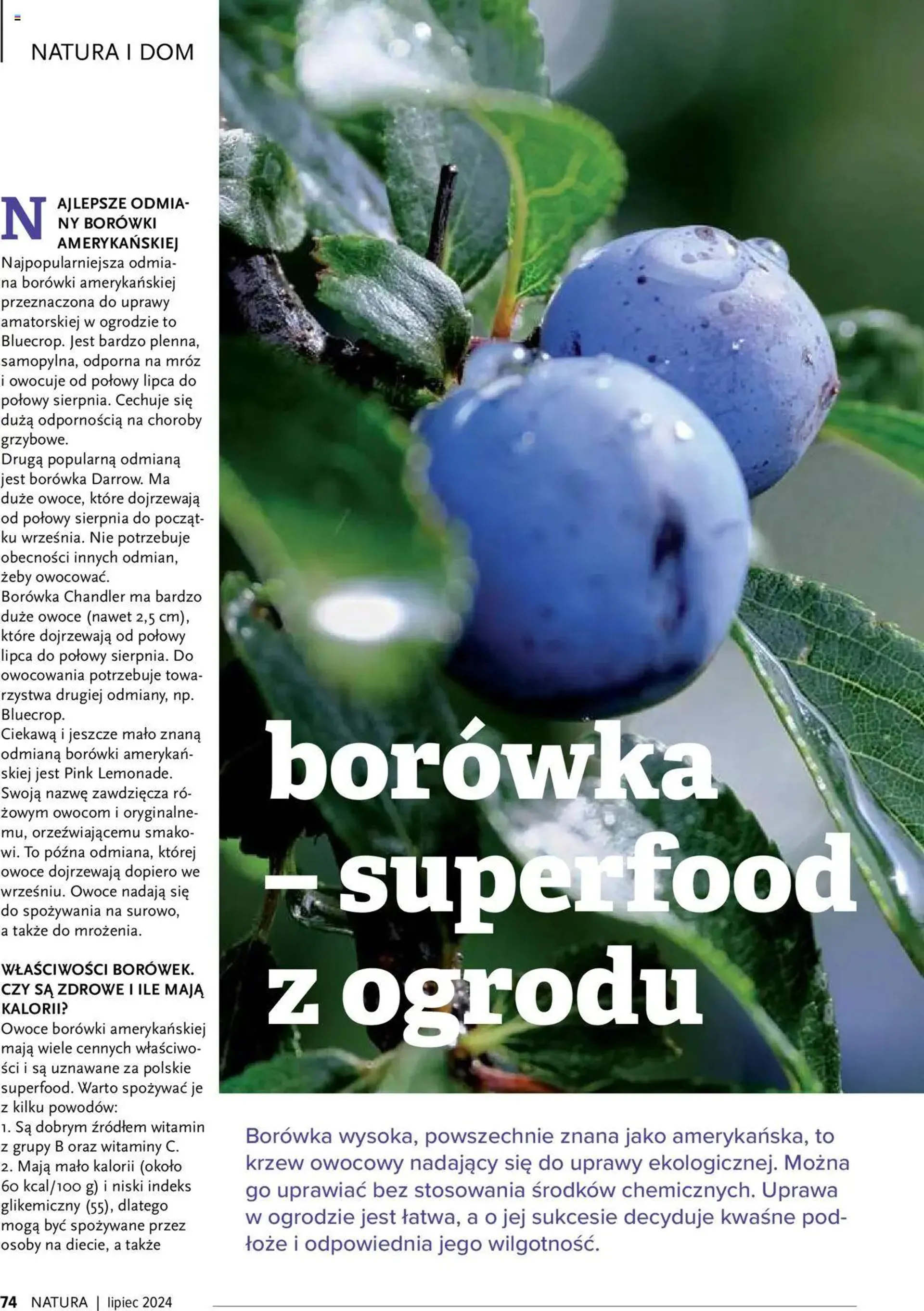 Drogerie Natura Gazetka - Magazyn Klubu Natura 07 - 73