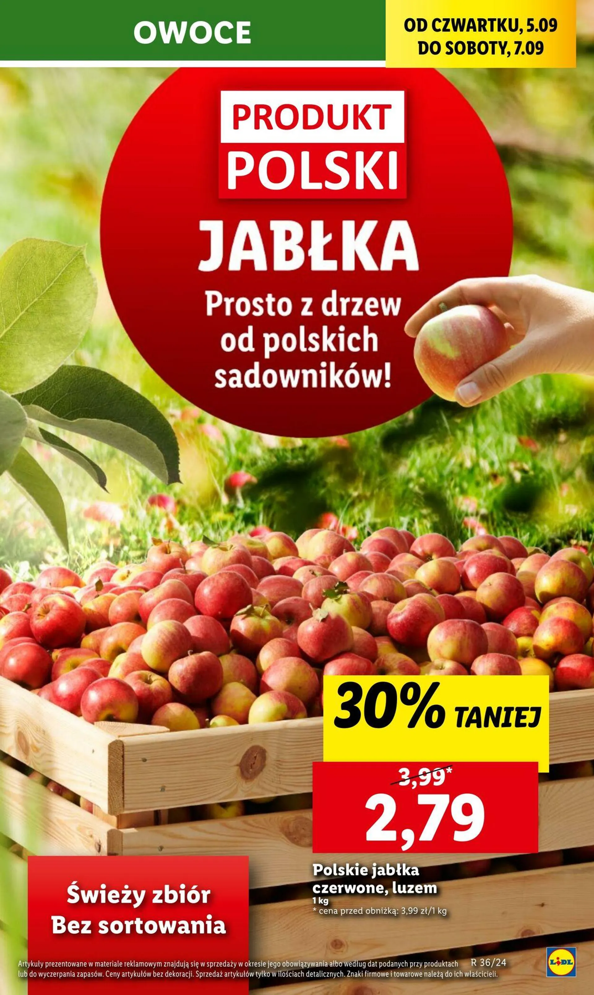 LIDL Aktualna gazetka - 21