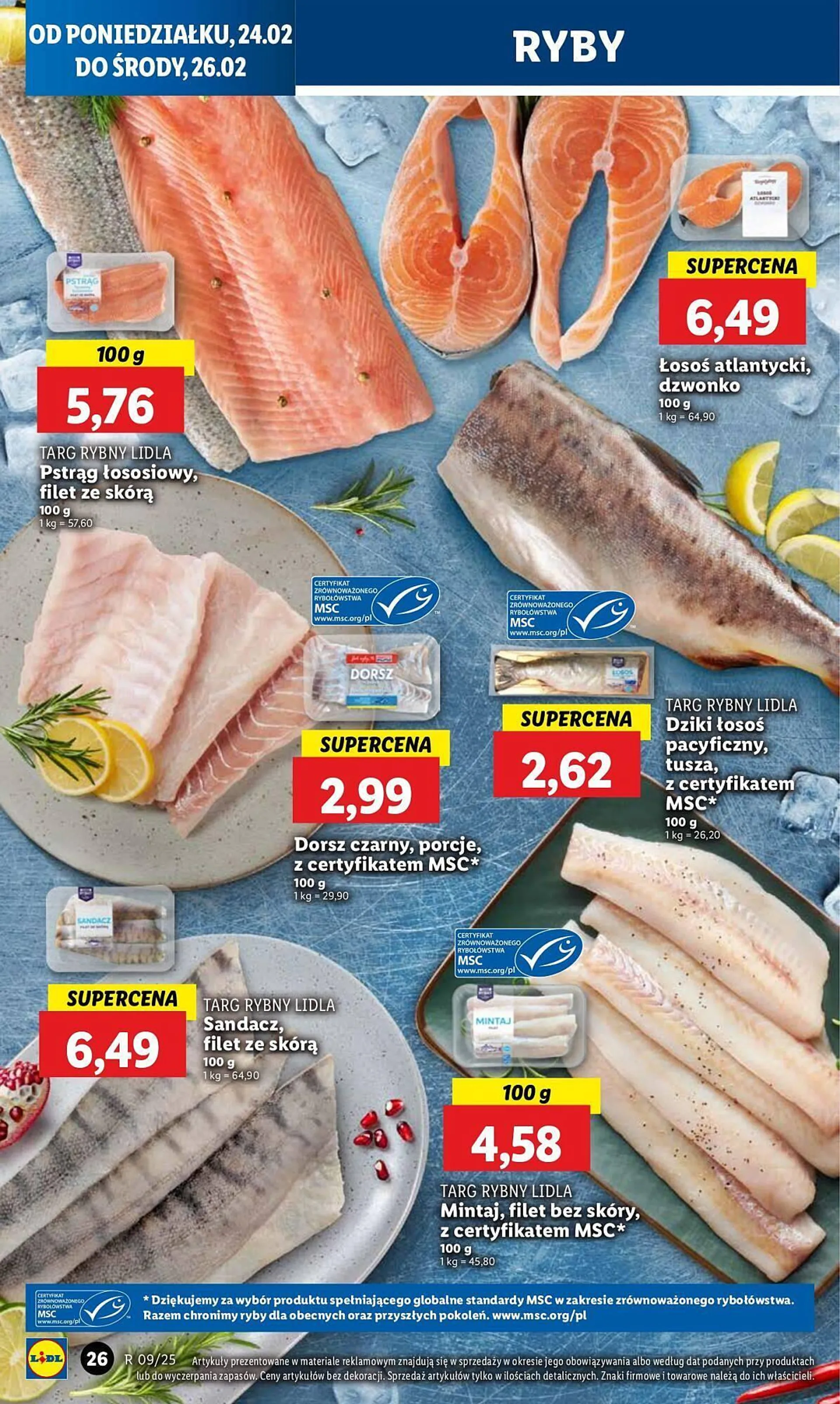 Lidl gazetka - 28