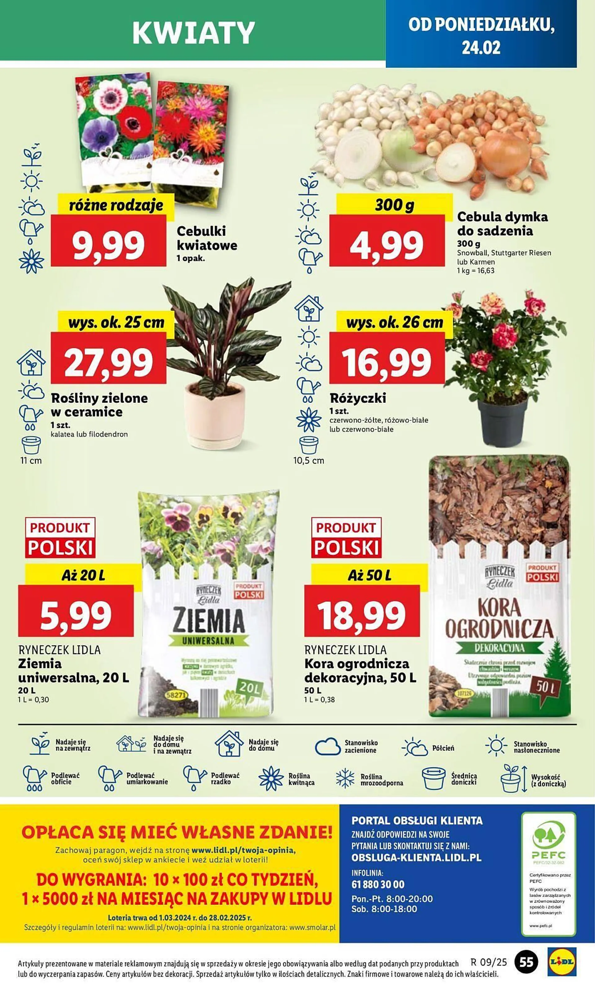 Lidl gazetka - 59