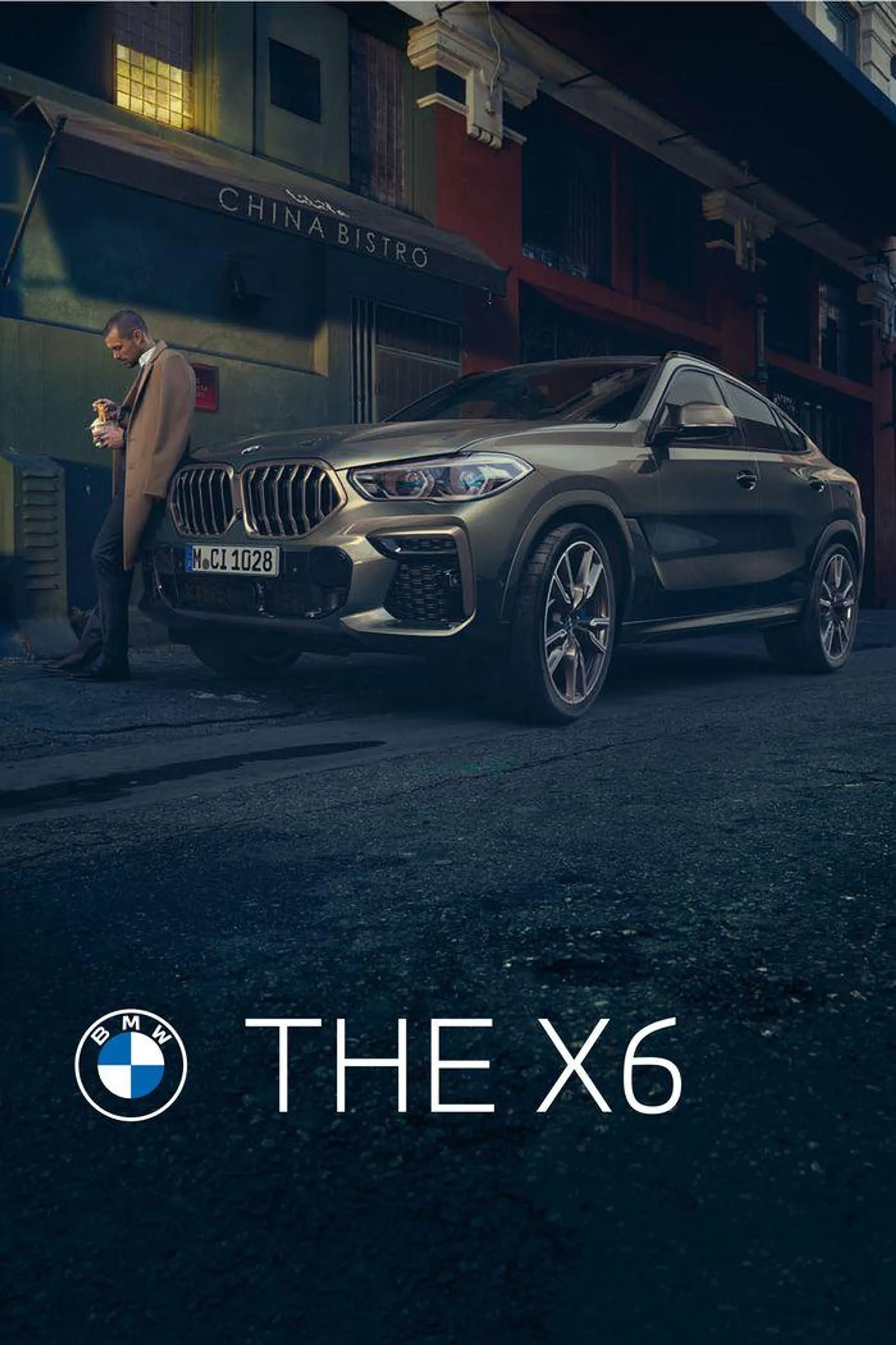 BMW X6 - 1