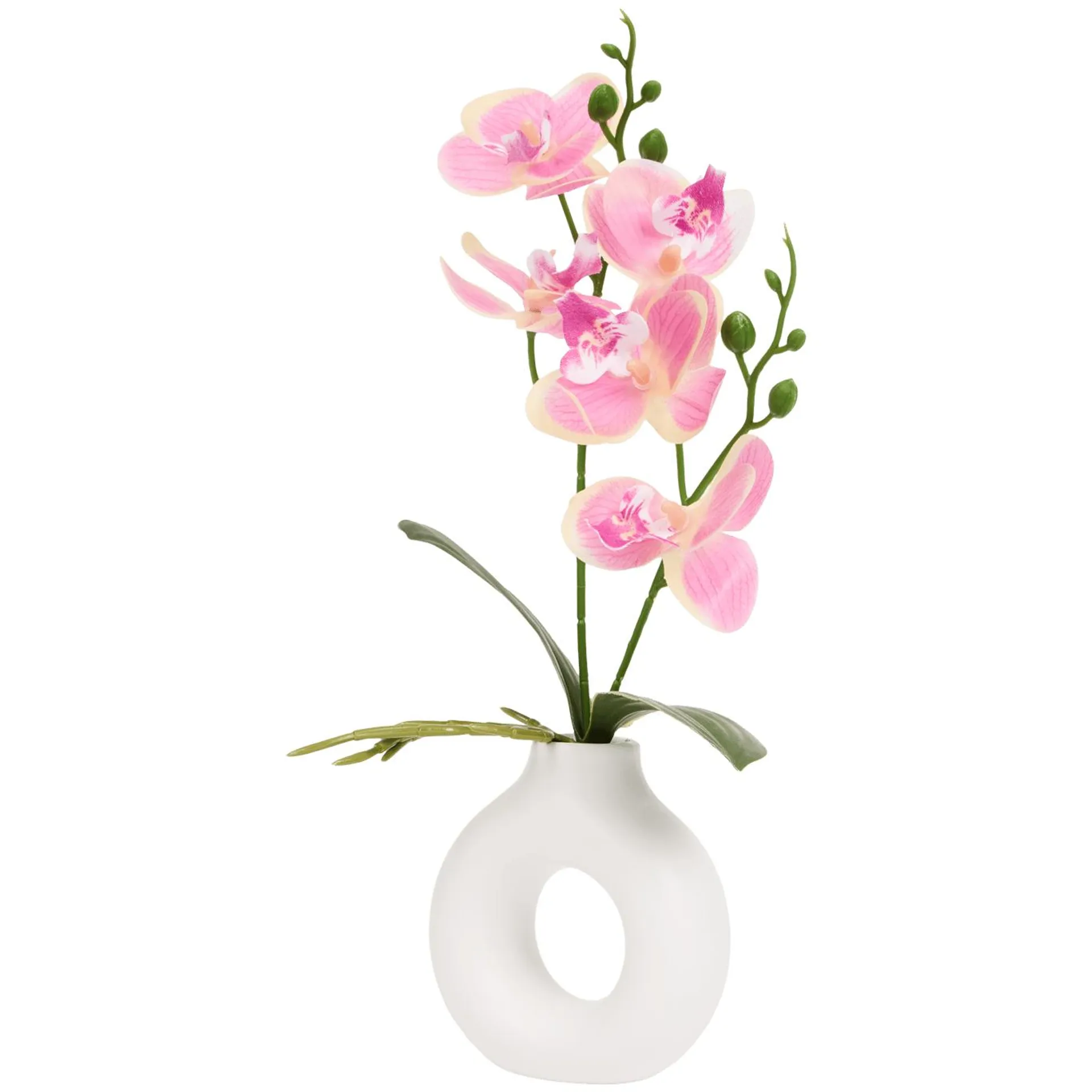 Orchidea w wazonie Home Accents