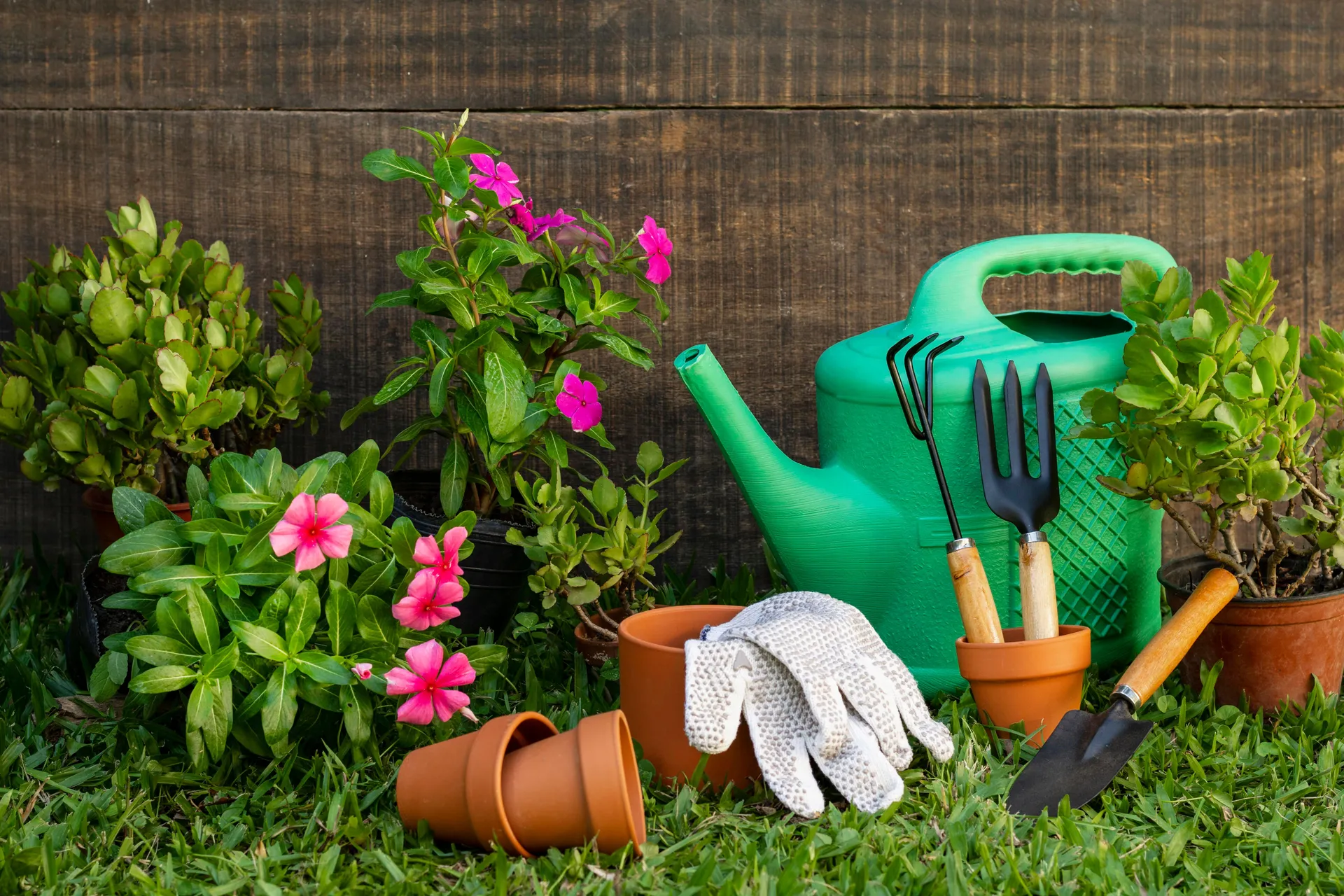 Arma tu kit básico de jardinería