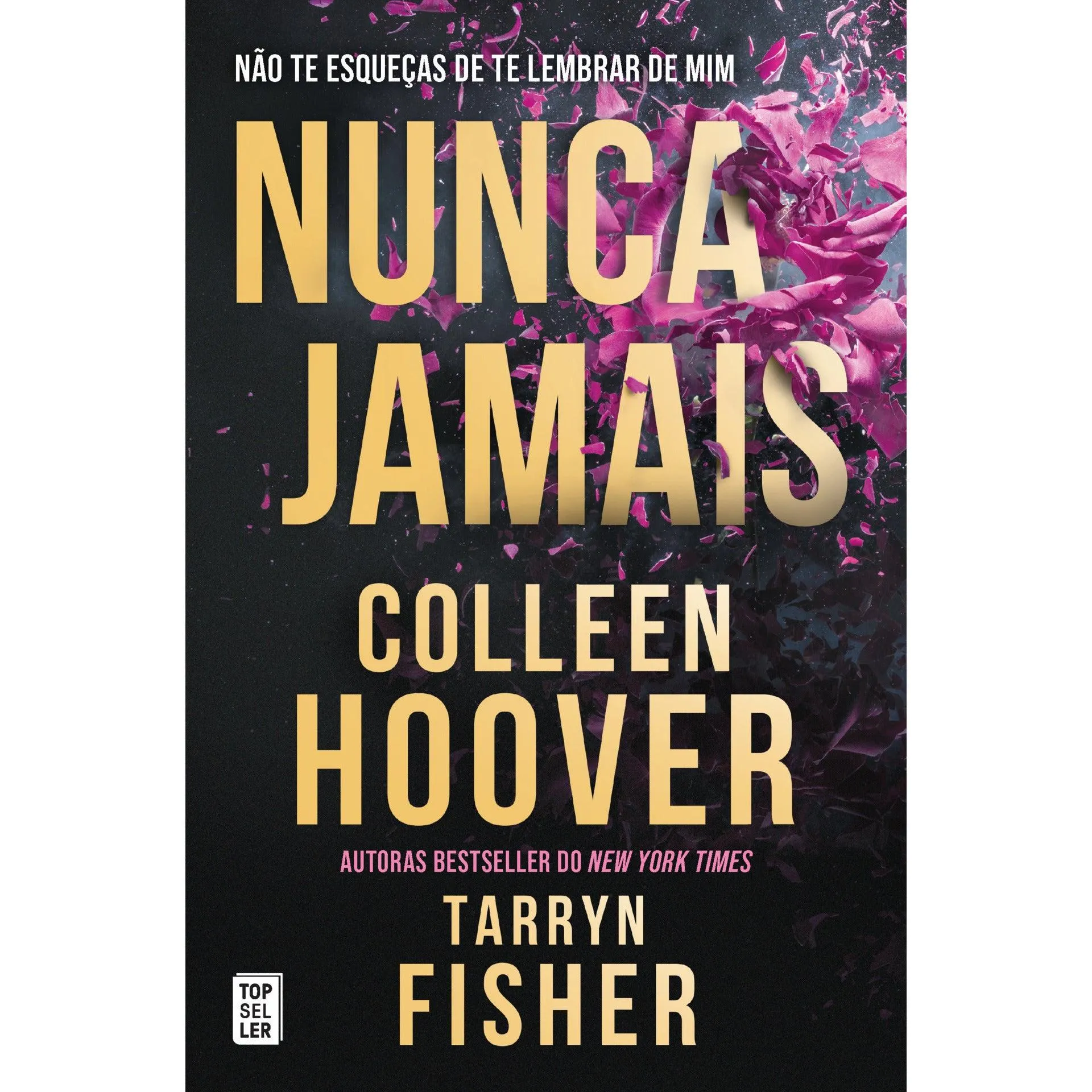 Nunca Jamais de Colleen Hoover/Tarryn Fisher