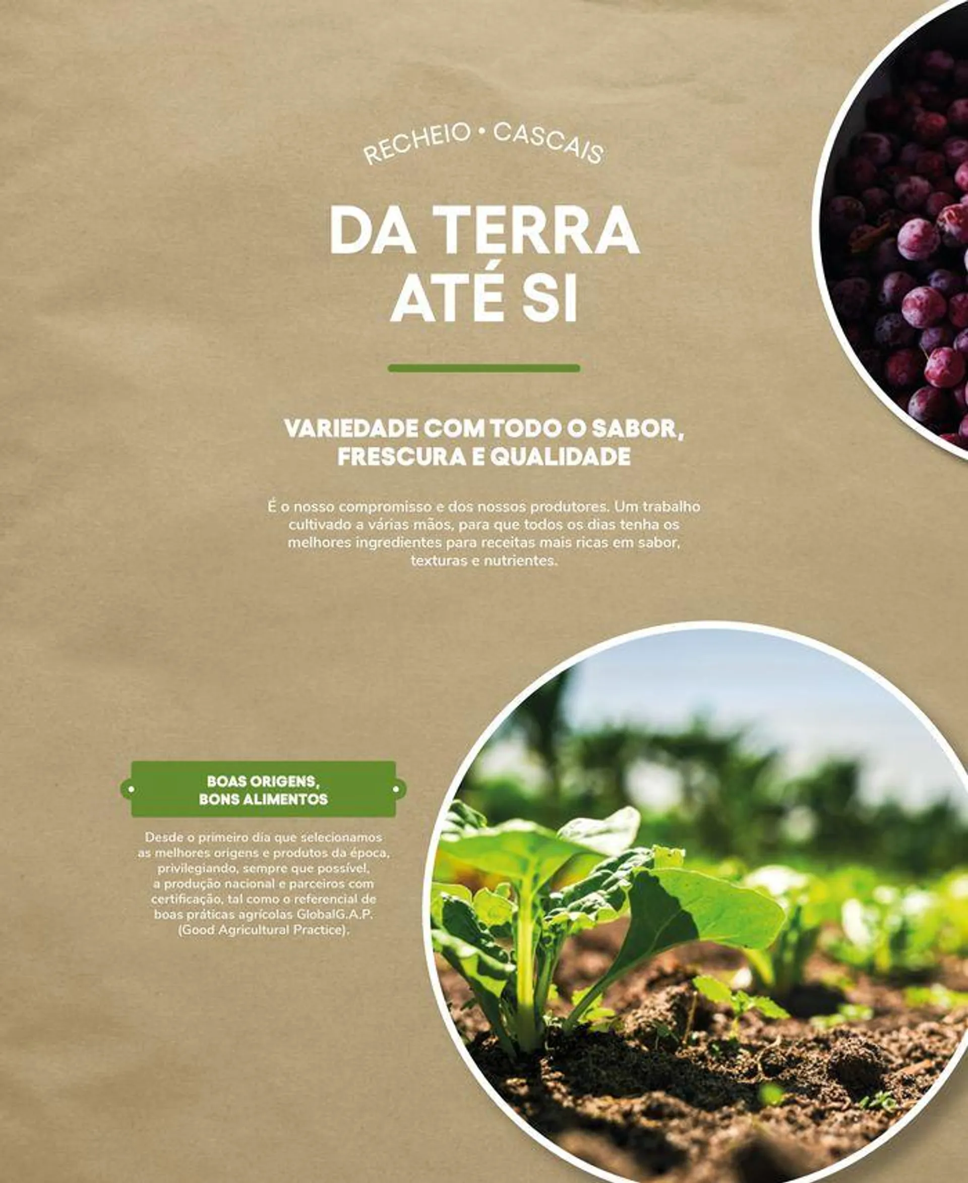 Folheto Recheio Frutas e Legumes de 19 de setembro até 31 de outubro 2024 - Pagina 4