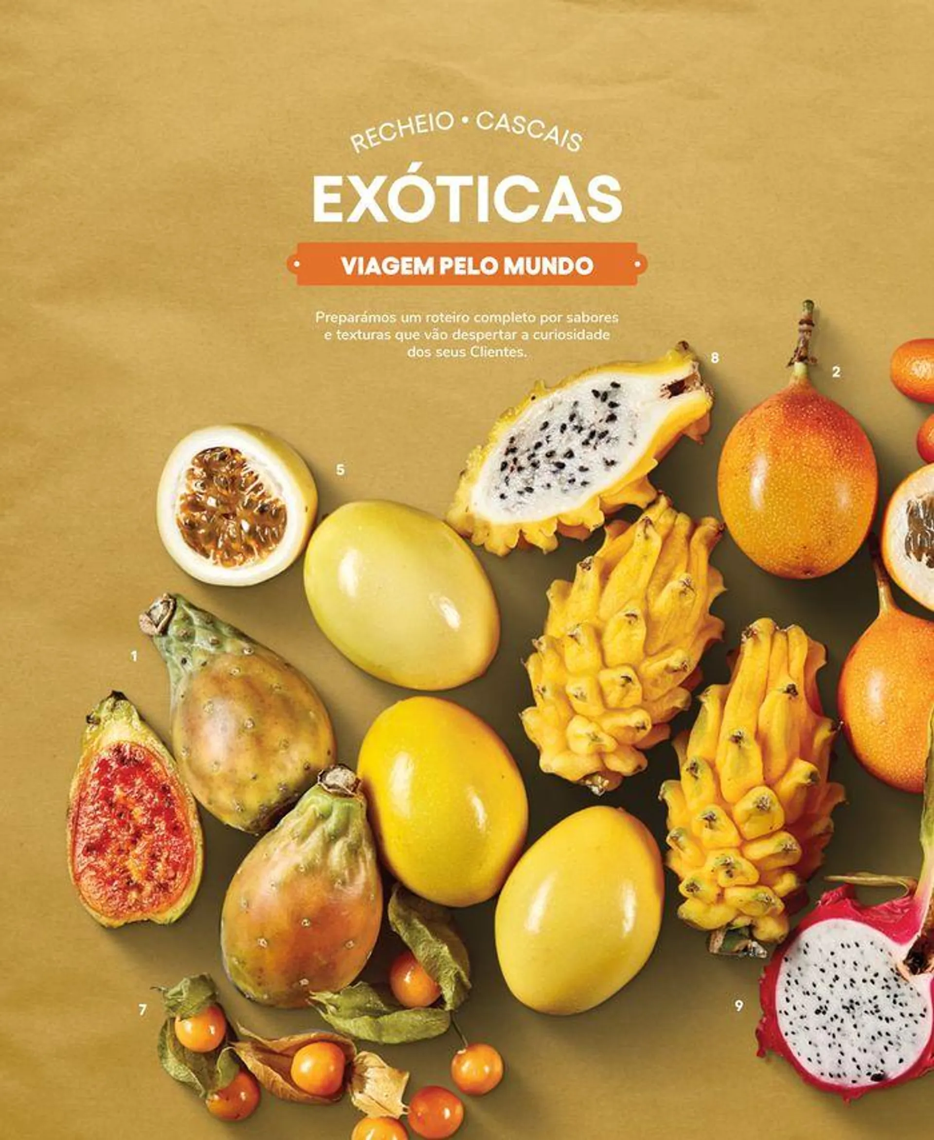 Folheto Recheio Frutas e Legumes de 19 de setembro até 31 de outubro 2024 - Pagina 84