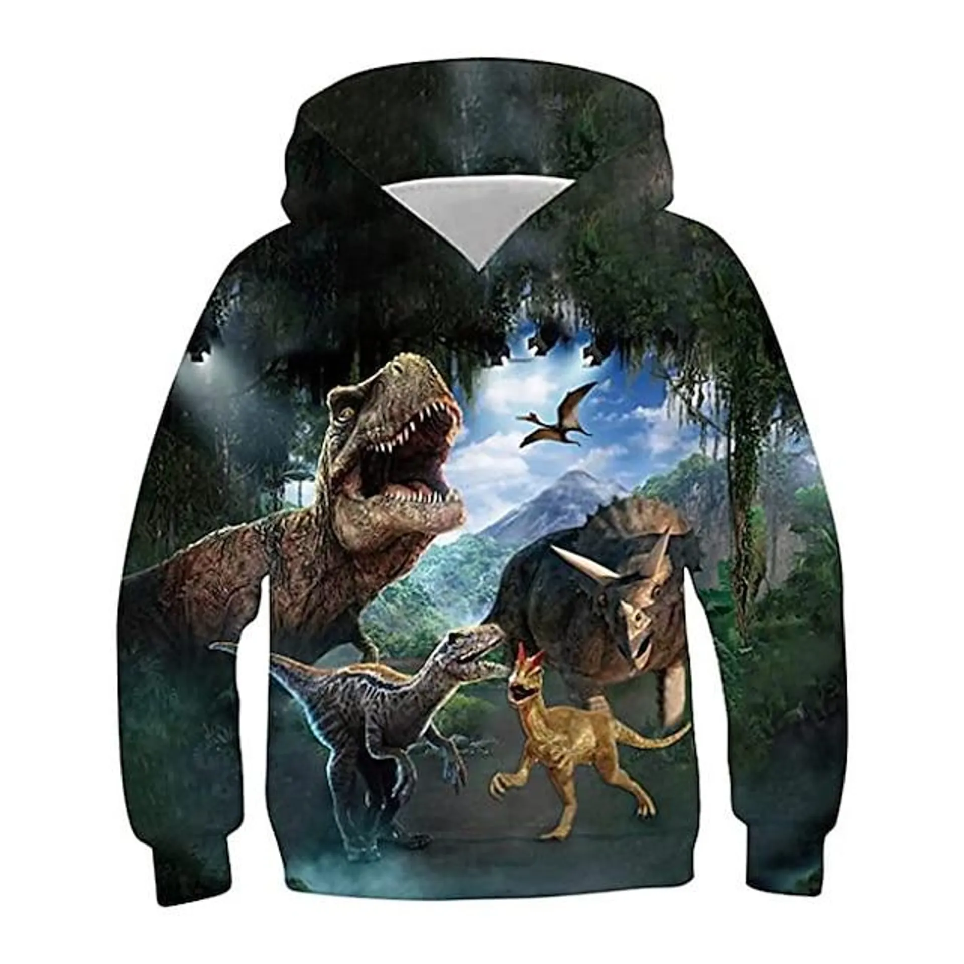 Jongens 3D dier Dinosaurus Trui met capuchon Lange mouw 3D-afdrukken Herfst Winter Actief Sport Modieus Polyester Kinderen 3-13 jaar Buiten Dagelijks Voor Binnen Normale pasvorm