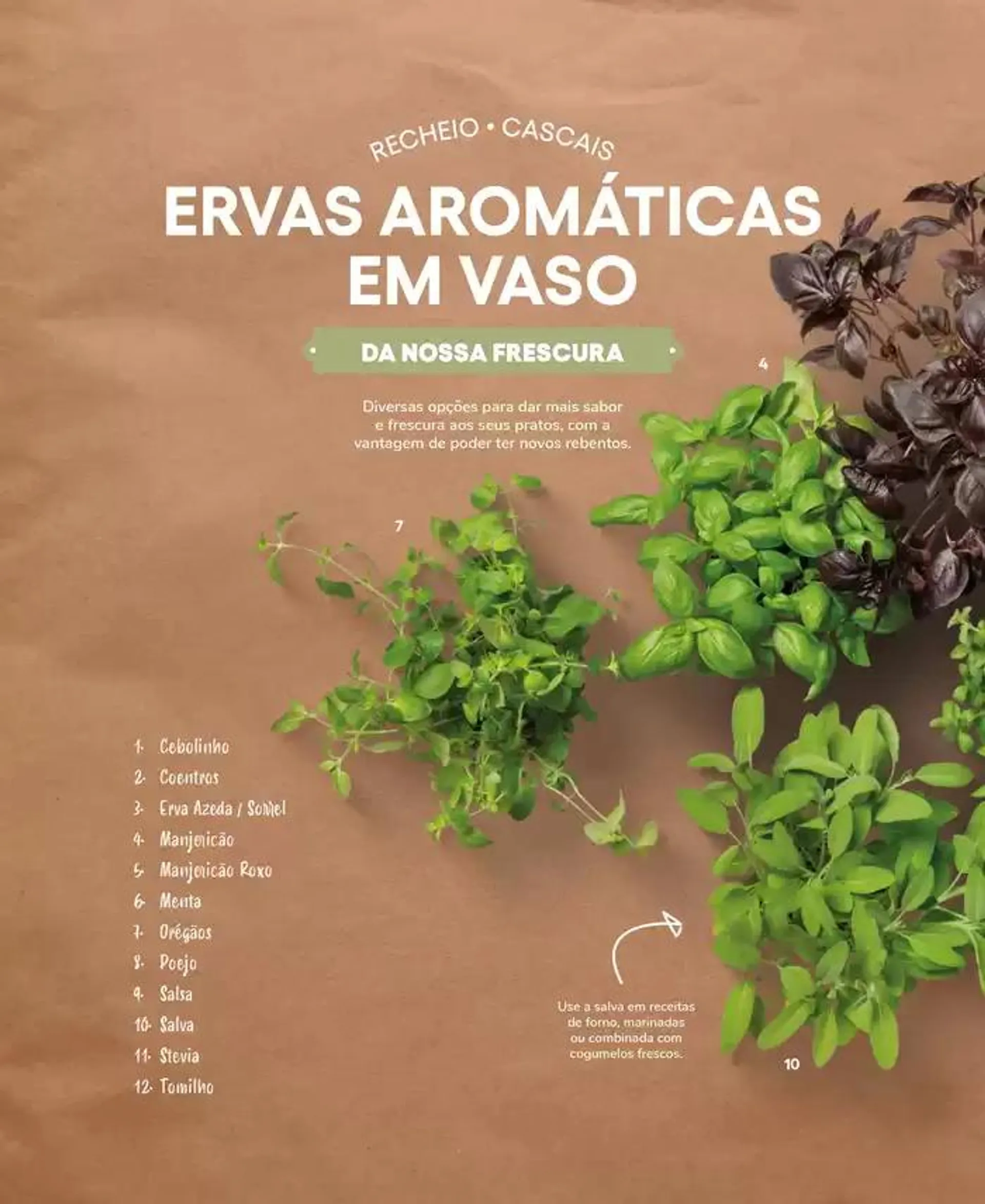 Folheto Recheio Frutas e Legumes de 19 de setembro até 31 de outubro 2024 - Pagina 58