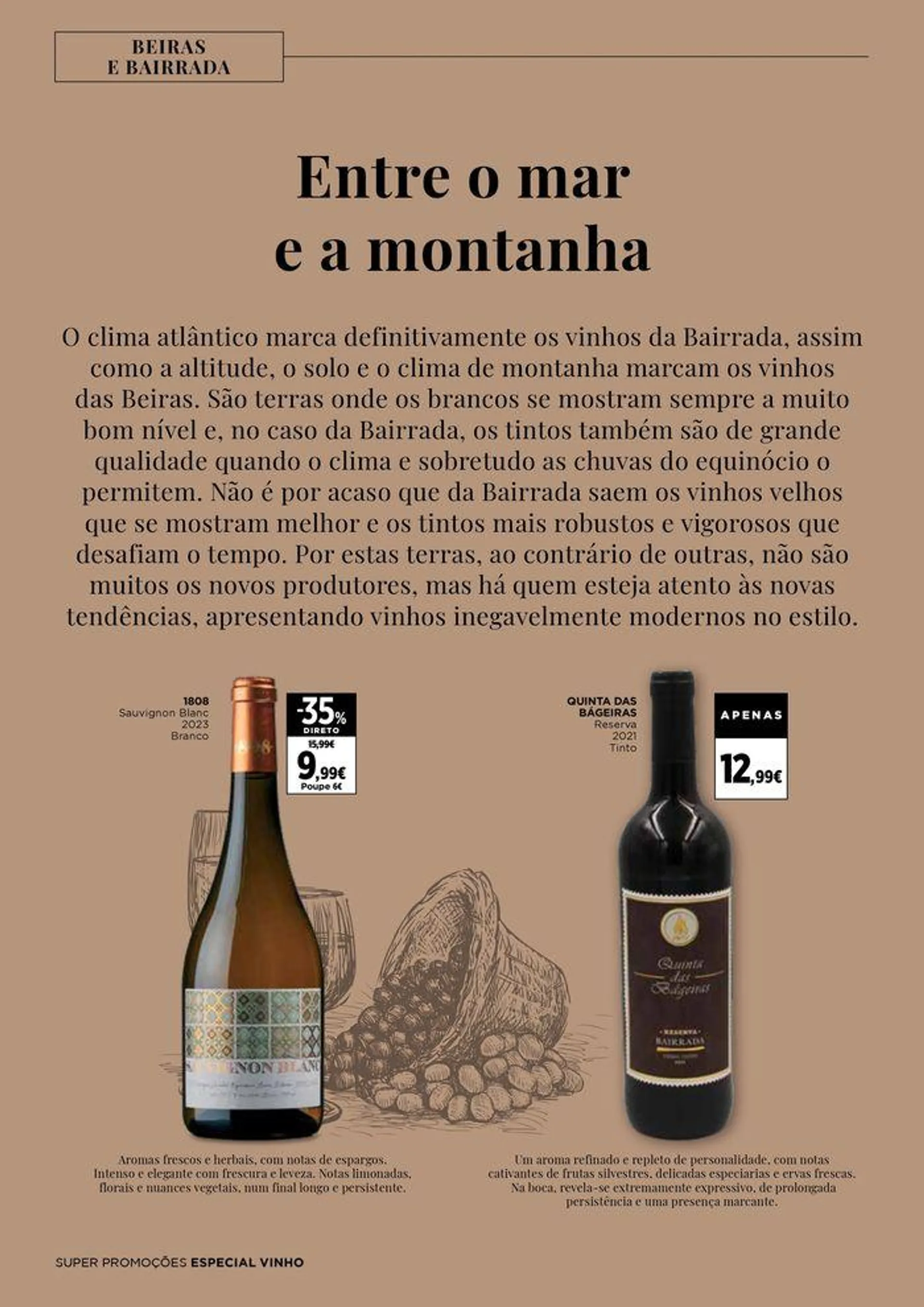 Folheto Especial Vinho de 20 de setembro até 17 de outubro 2024 - Pagina 14