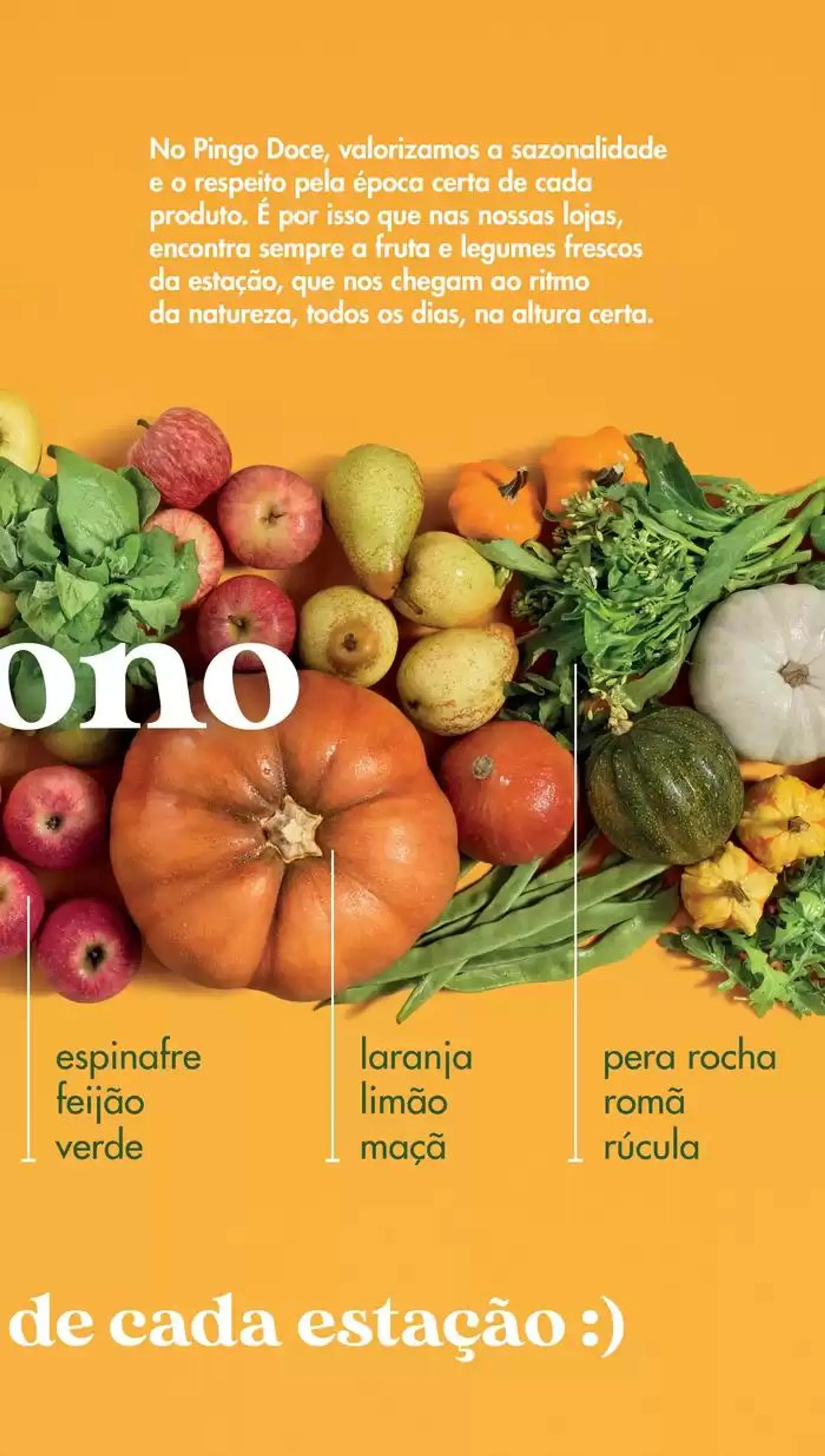 Folheto Pingo Doce Fruta e Legumes de 8 de outubro até 8 de novembro 2024 - Pagina 5