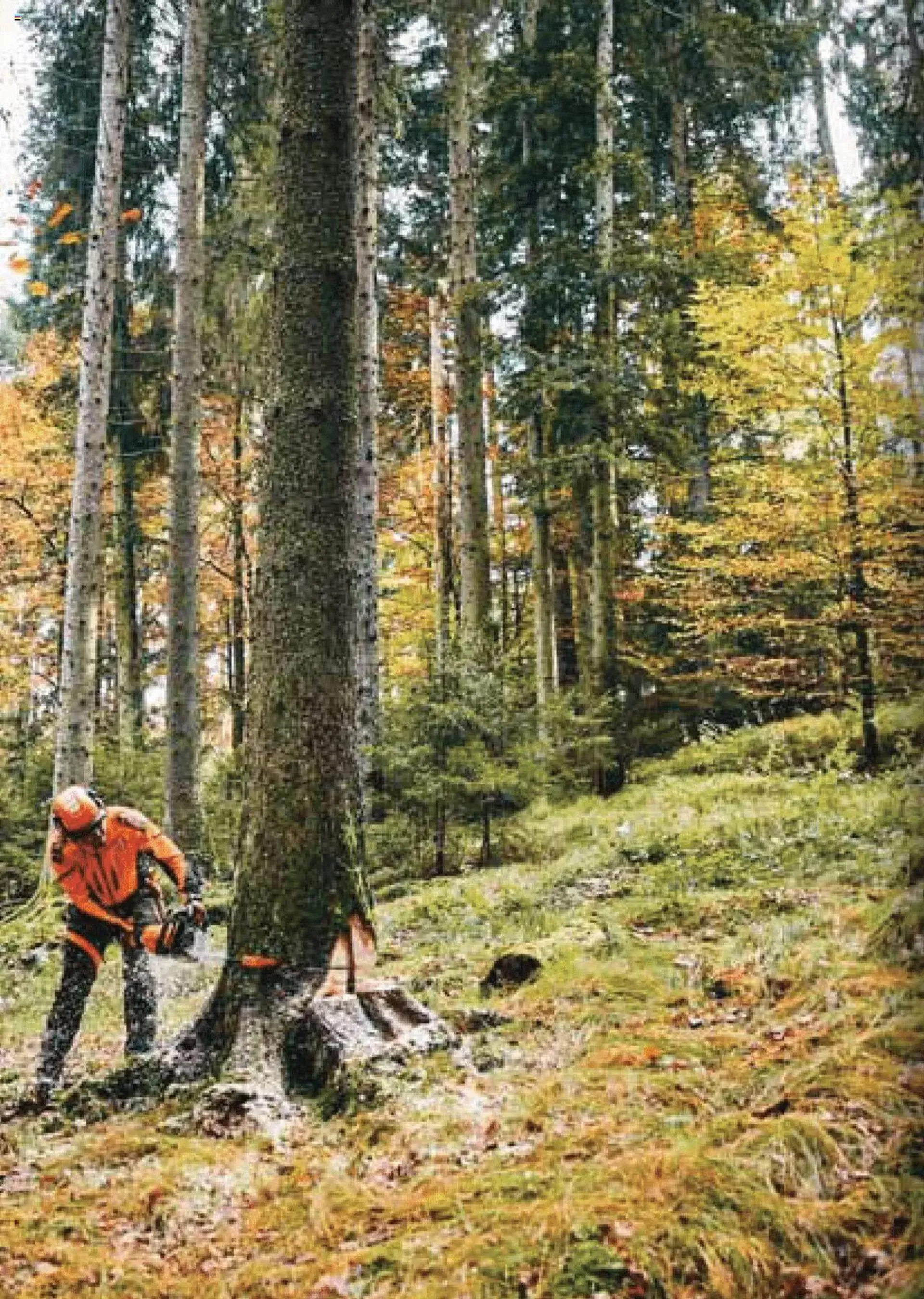 Folheto Stihl catálogo de 1 de maio até 31 de dezembro 2024 - Pagina 408