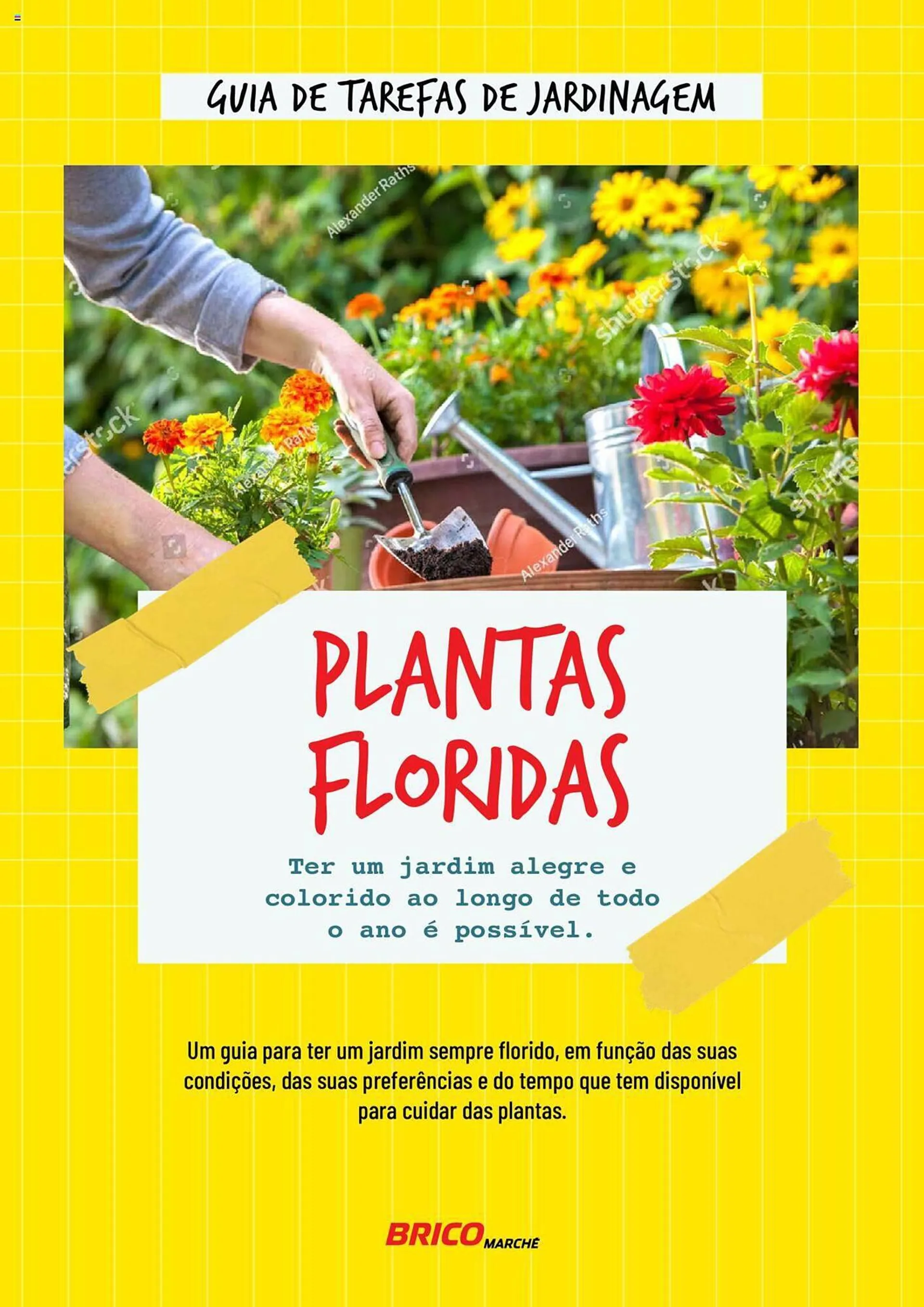Folheto Folheto Bricomarché Plantas Floridas de 17 de janeiro até 31 de dezembro 2024 - Pagina 1