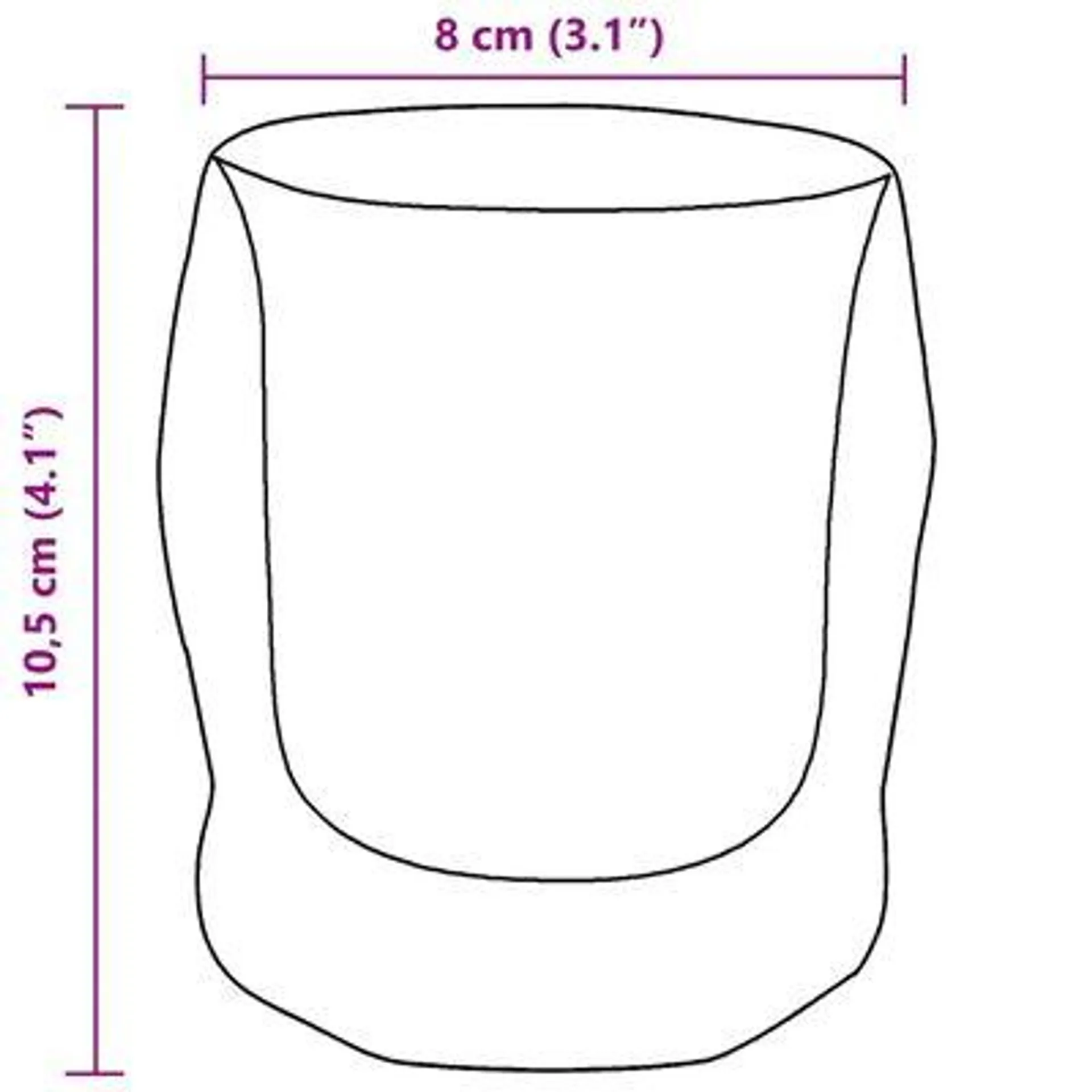 vidaXL Copos de vidro de parede dupla 6 pcs 250 ml