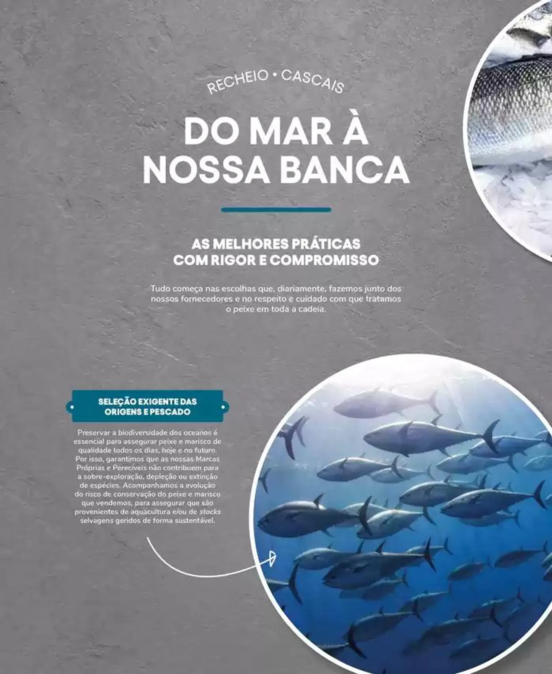 Folheto Recheio Peixaria - A arte de bem servir de 19 de setembro até 31 de outubro 2024 - Pagina 4