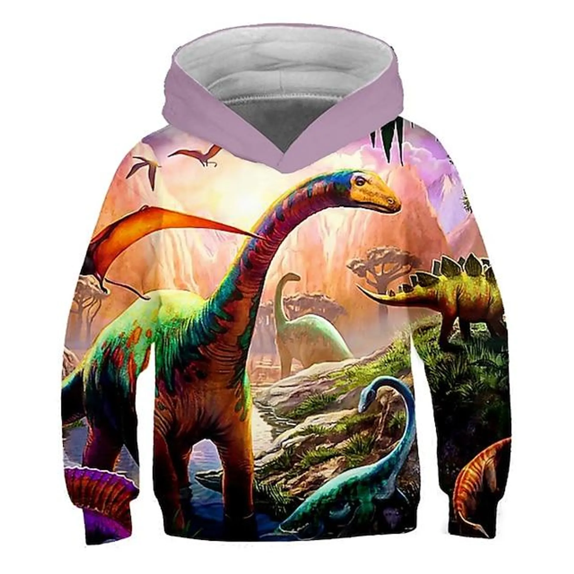 Kinderen Peuter Jongens Hoodie en sweatshirt Pullover Lange mouw Dinosaurus 3D-afdrukken Grafisch Kleurenblok Uniseks blauw Geel Leger Groen Kinderen Tops Actief Street chic 3-12 jaar