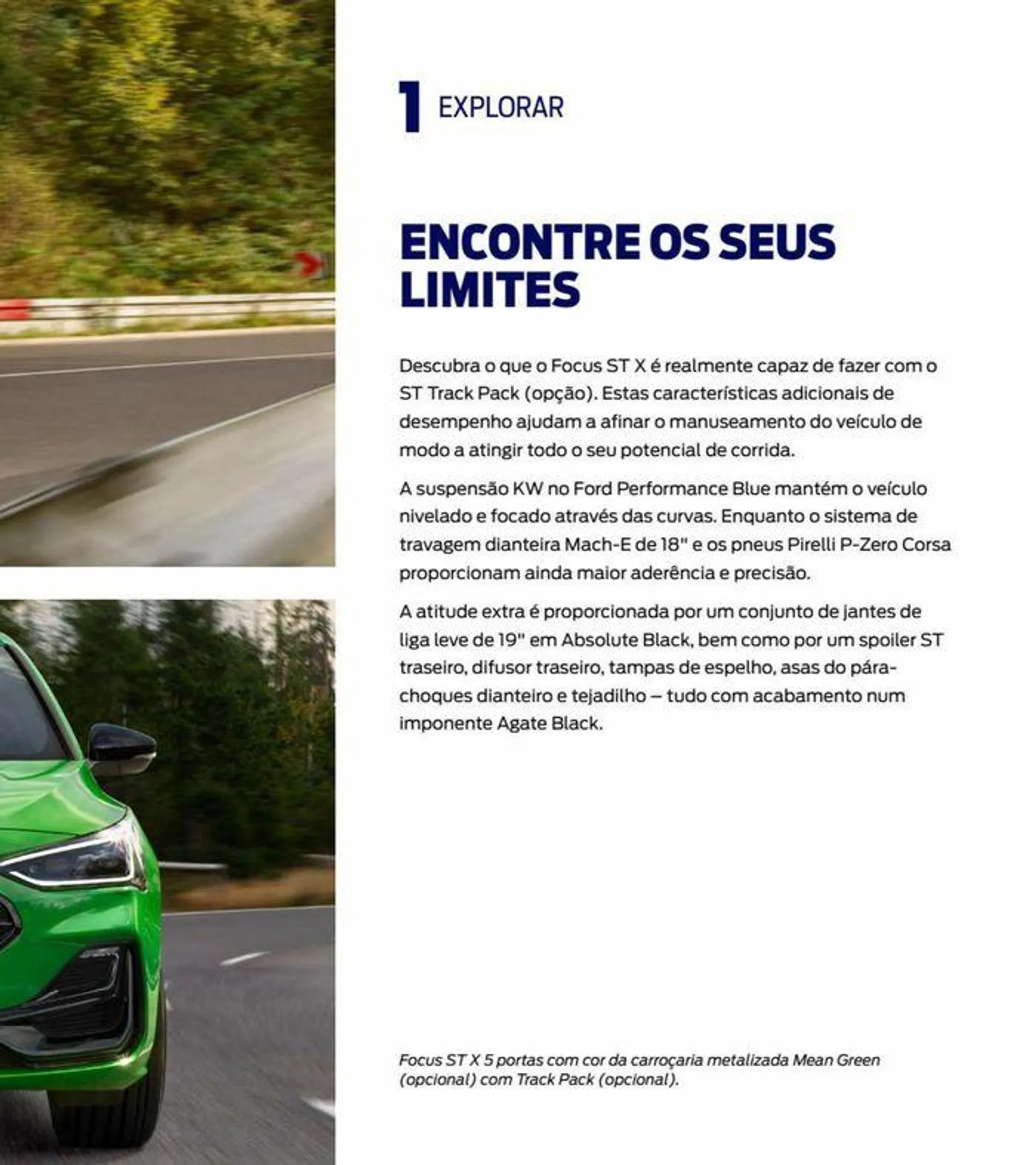 NOVO FOCUS - 11