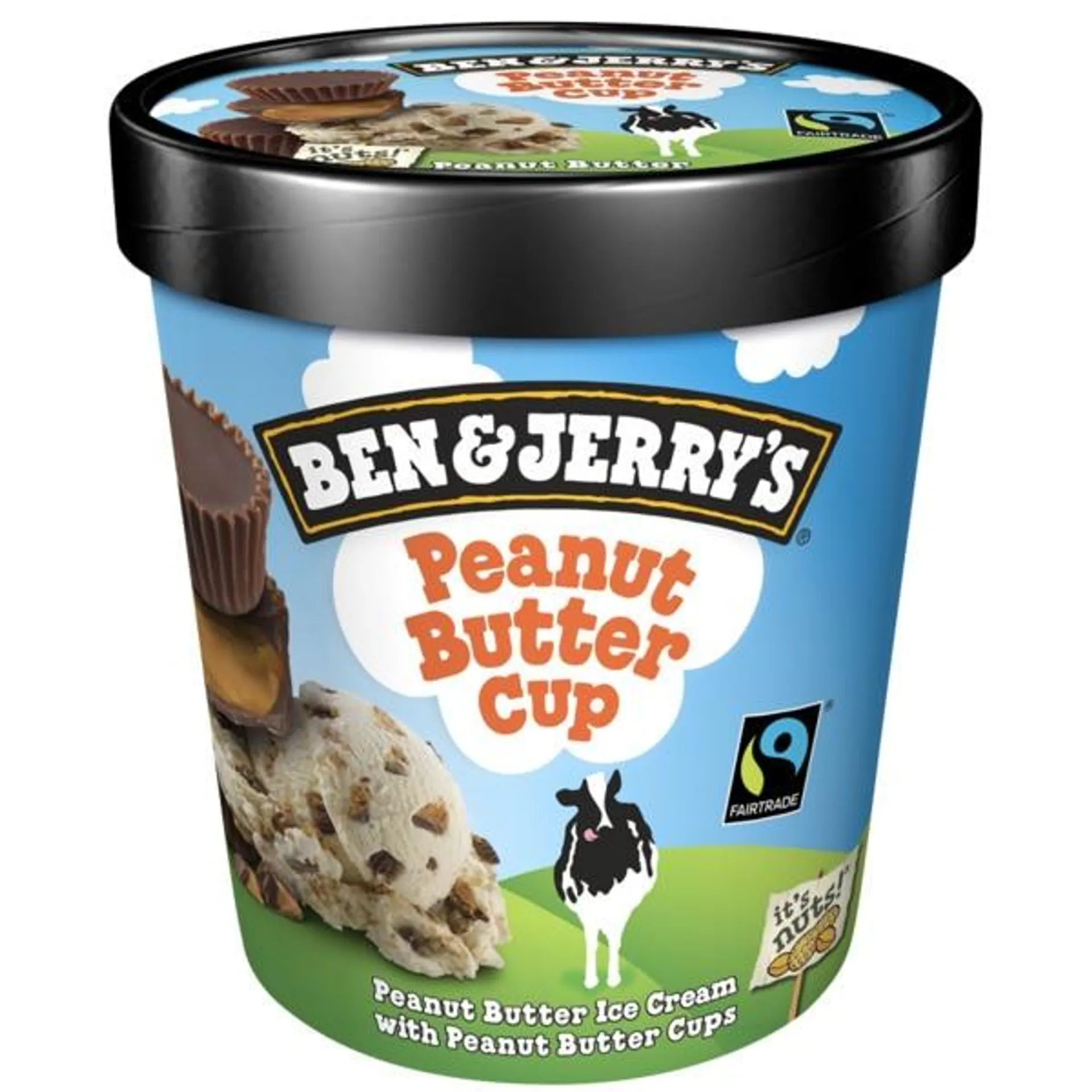 Gelado de Manteiga de Amendoim embalagem 465 ml Ben & Jerry's