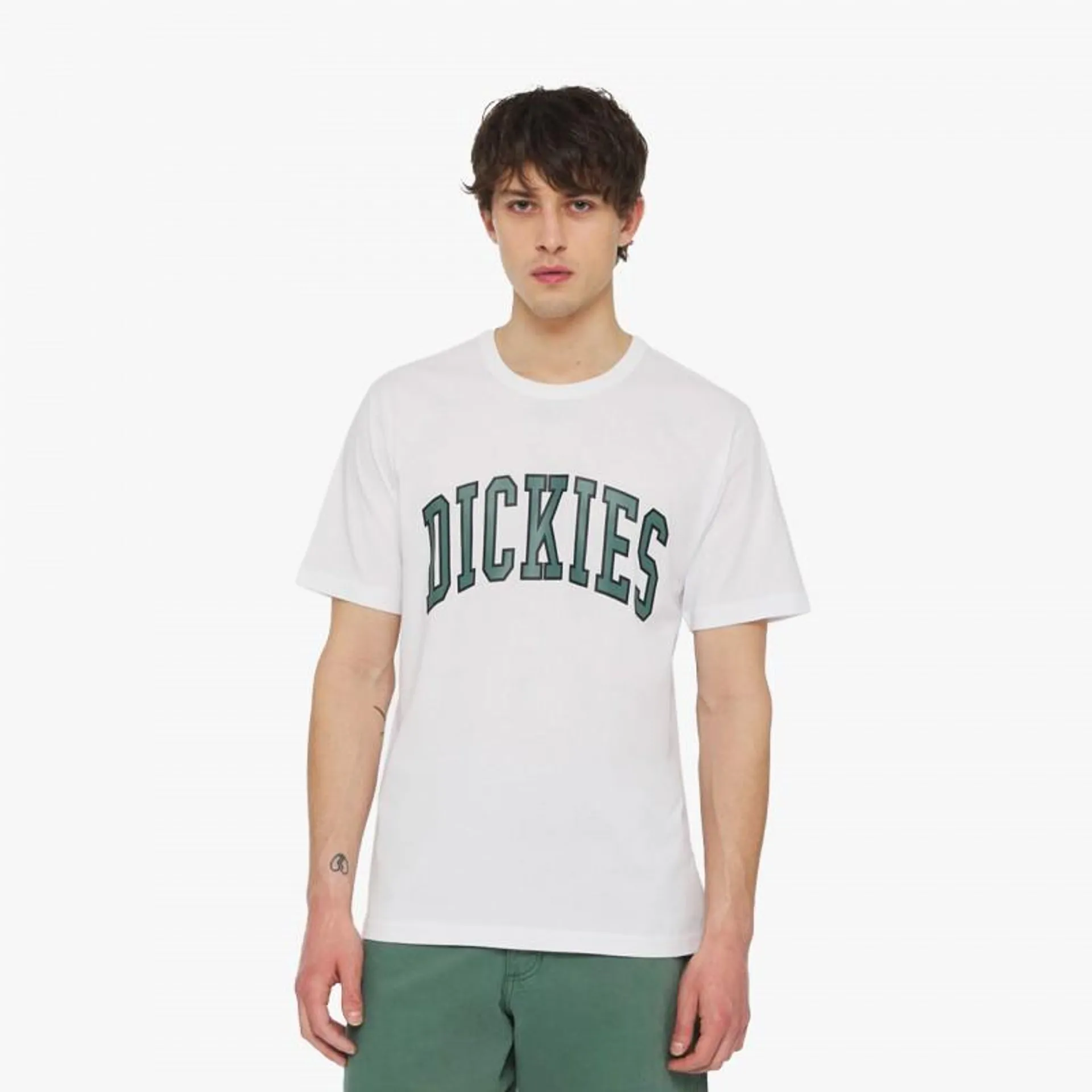 Dickies T-shirt Aitkin