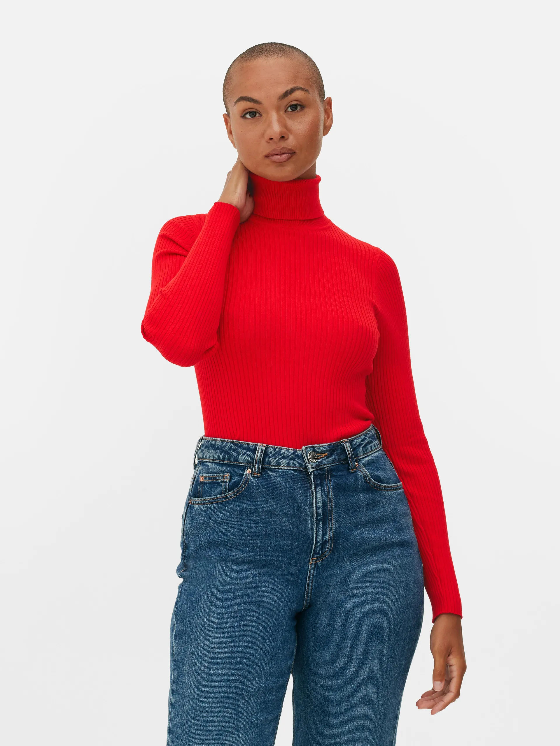 Ribbed Roll Neck Knit Jumper