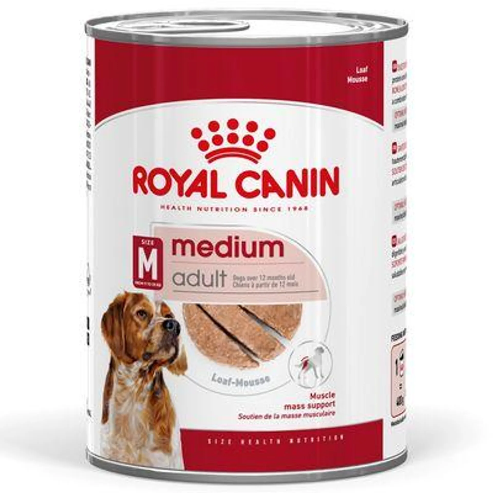 Royal Canin Medium Adult Mousse