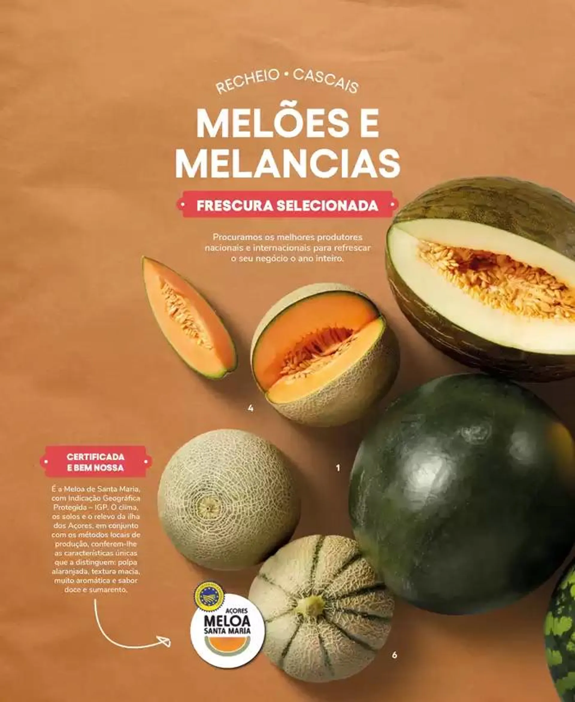 Folheto Recheio Frutas e Legumes de 19 de setembro até 31 de outubro 2024 - Pagina 70