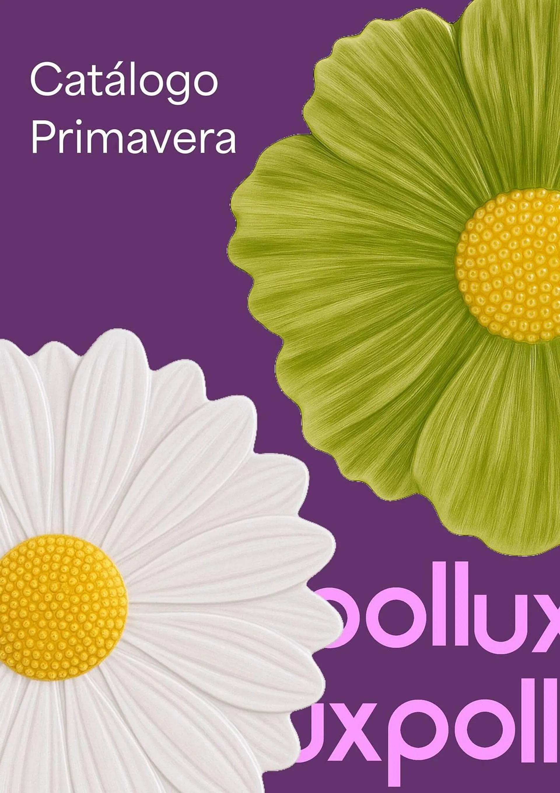 Folheto Pollux - 1