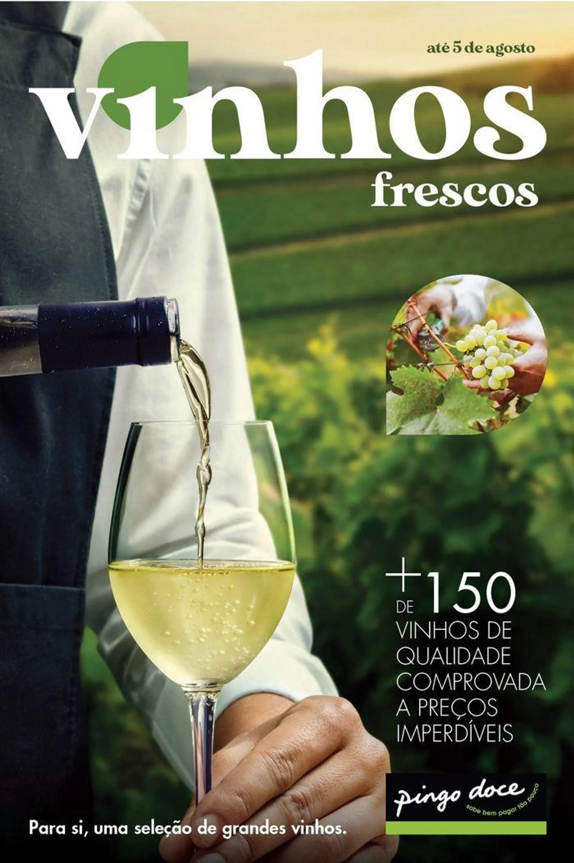 Vinhos - 1