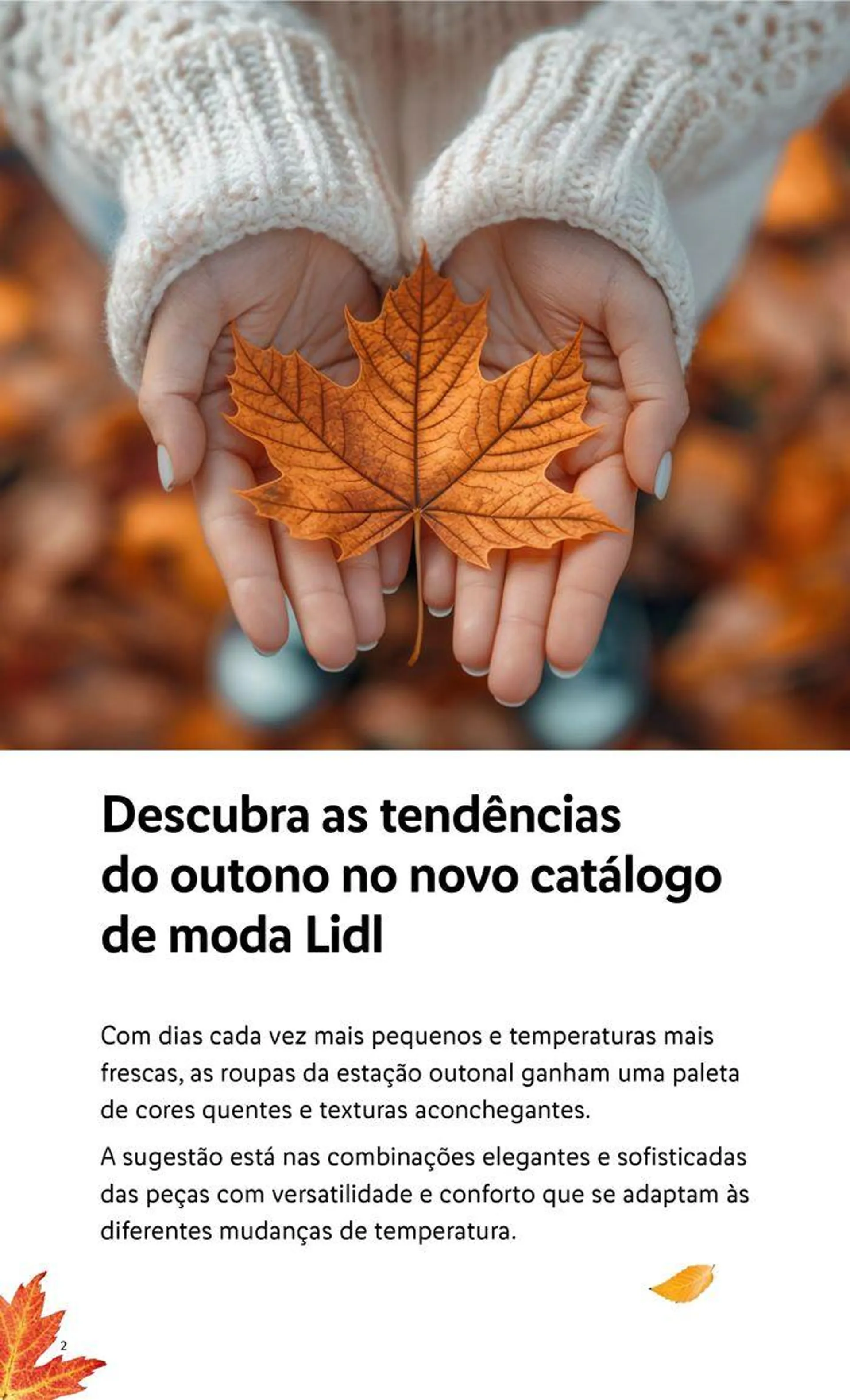 Folheto Esmara de 16 de setembro até 20 de novembro 2024 - Pagina 2