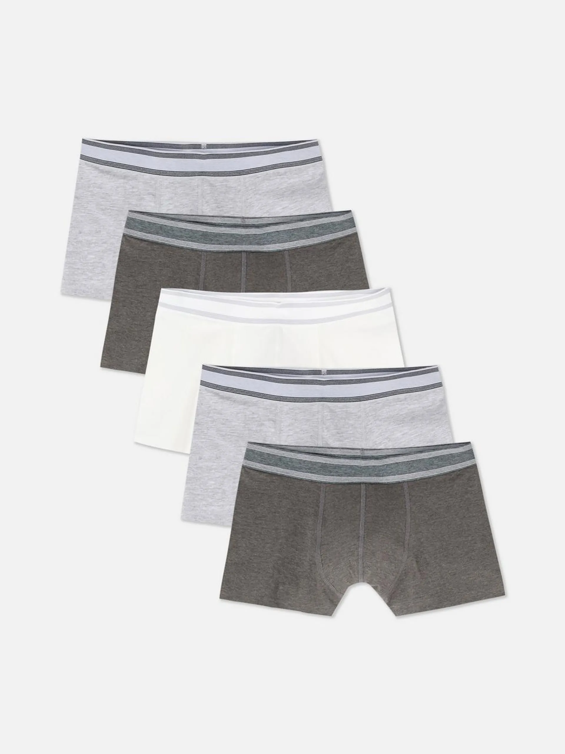 5-Pack Hipster Boxer Briefs