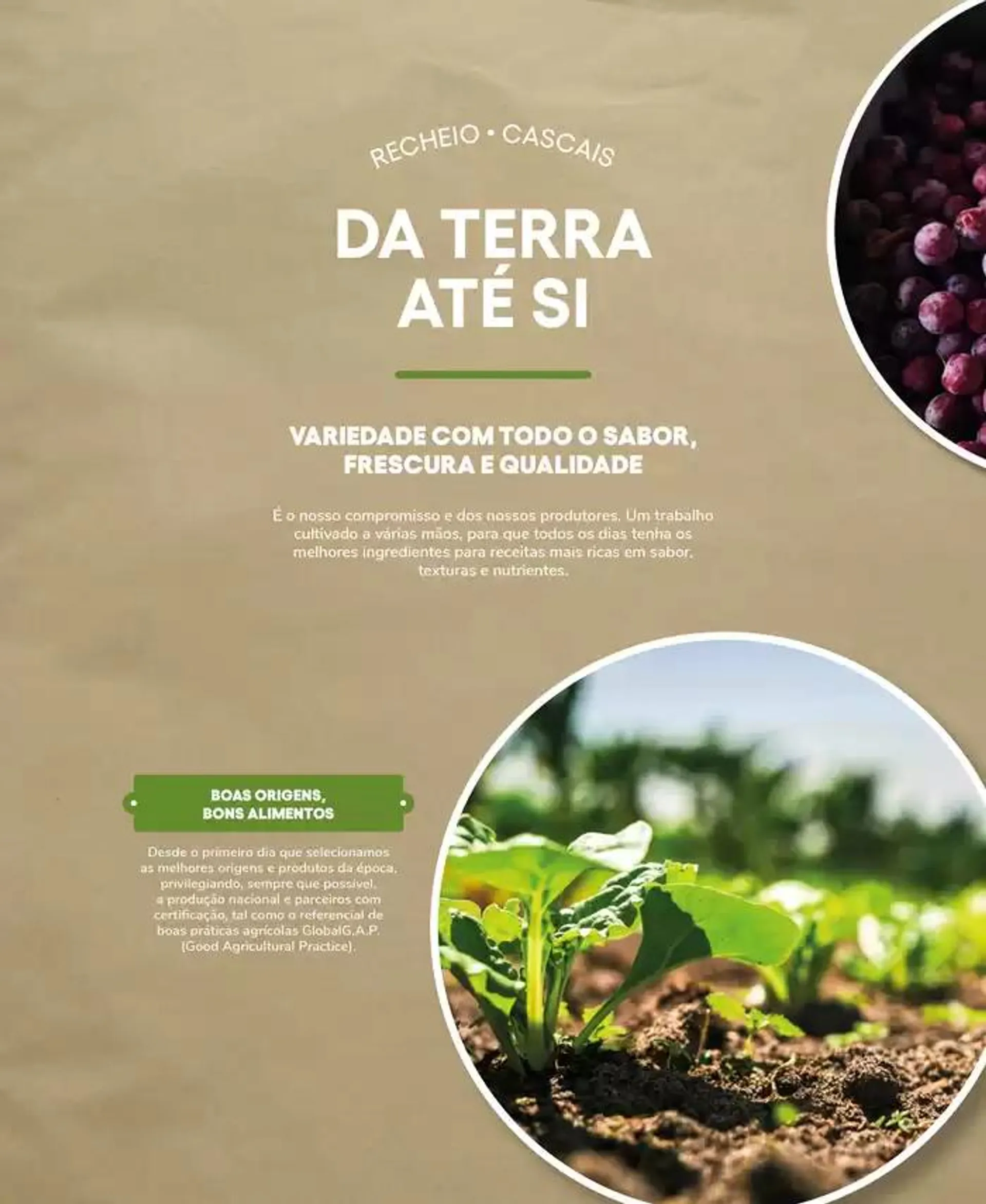 Folheto Recheio Frutas e Legumes de 19 de setembro até 31 de outubro 2024 - Pagina 4