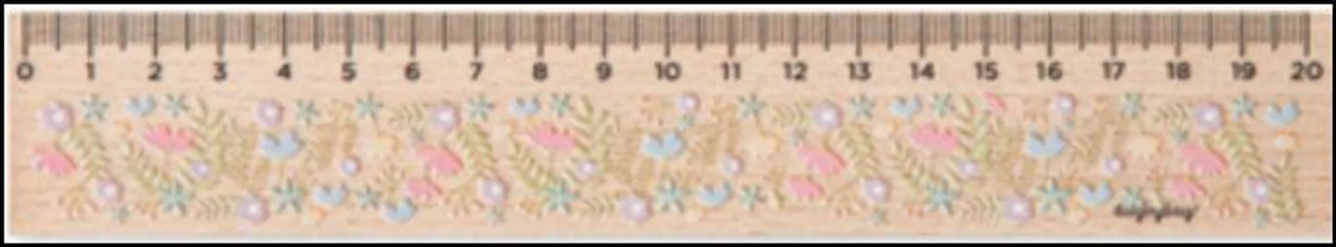 Wooden Ruler