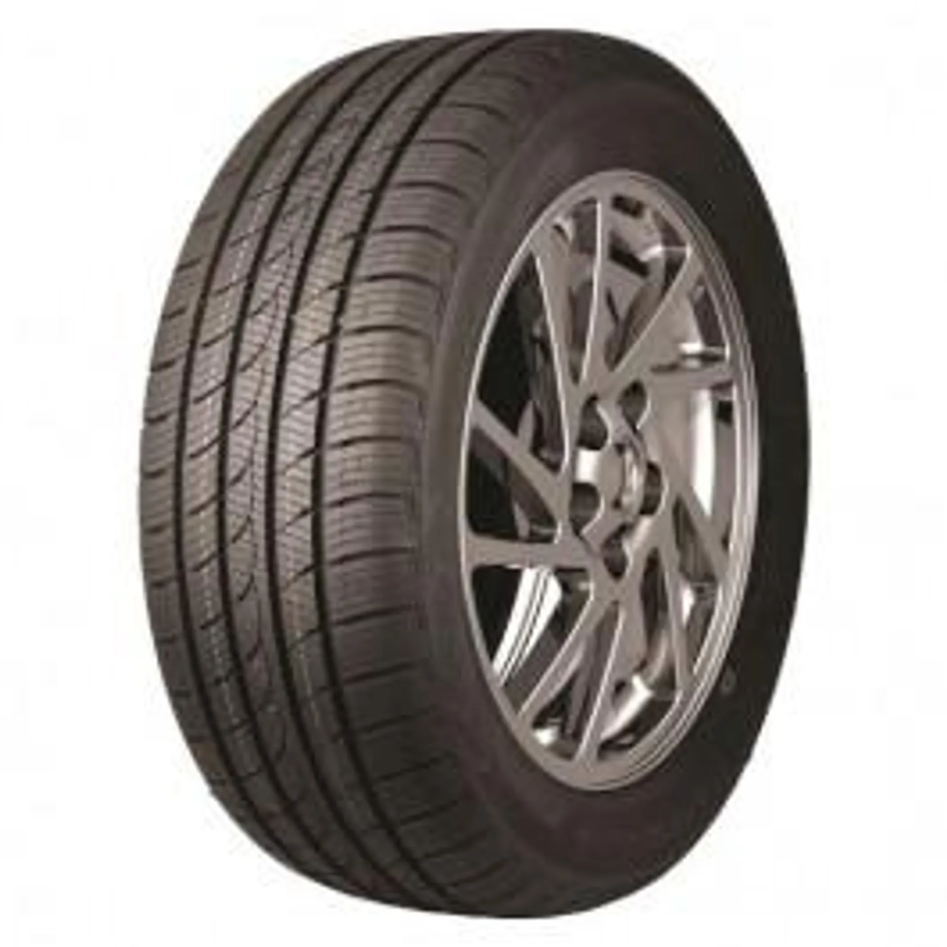 PNEU TRACMAX ICE-PLUS S220 255/50 R19 107 V