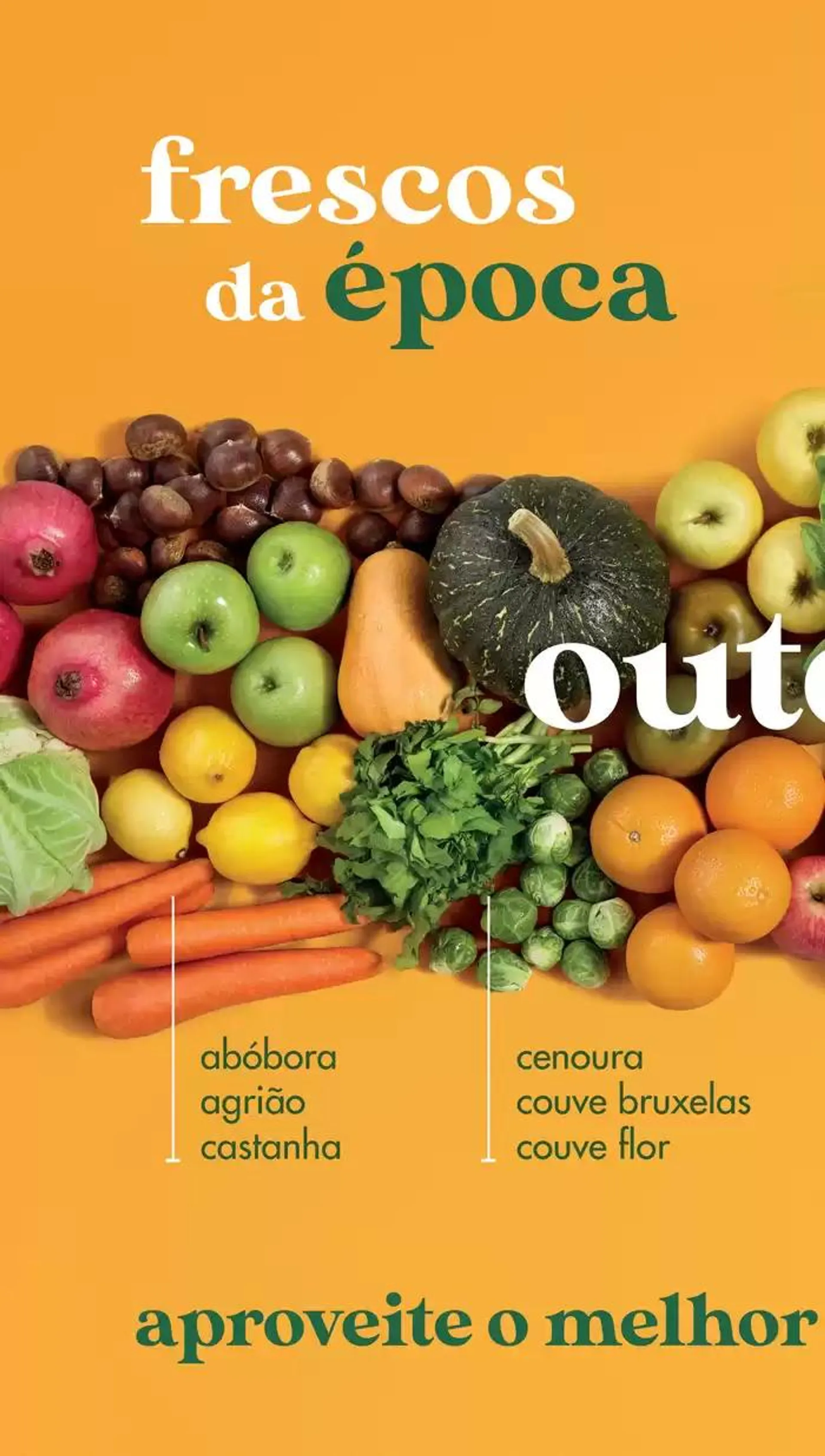 Folheto Pingo Doce Fruta e Legumes de 8 de outubro até 8 de novembro 2024 - Pagina 4