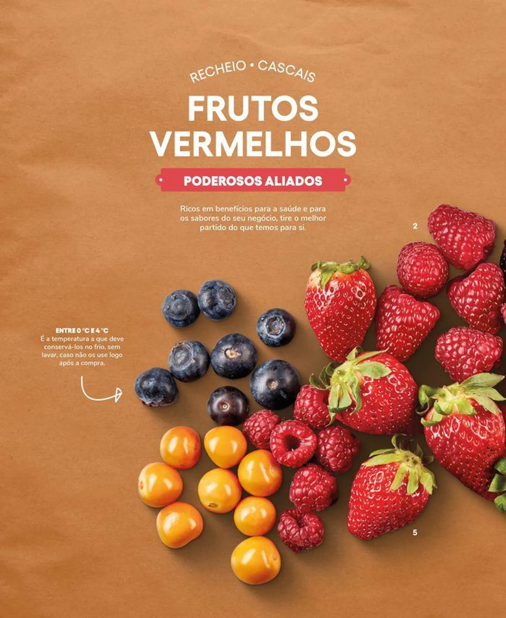 Folheto Recheio Frutas e Legumes de 19 de setembro até 31 de outubro 2024 - Pagina 76