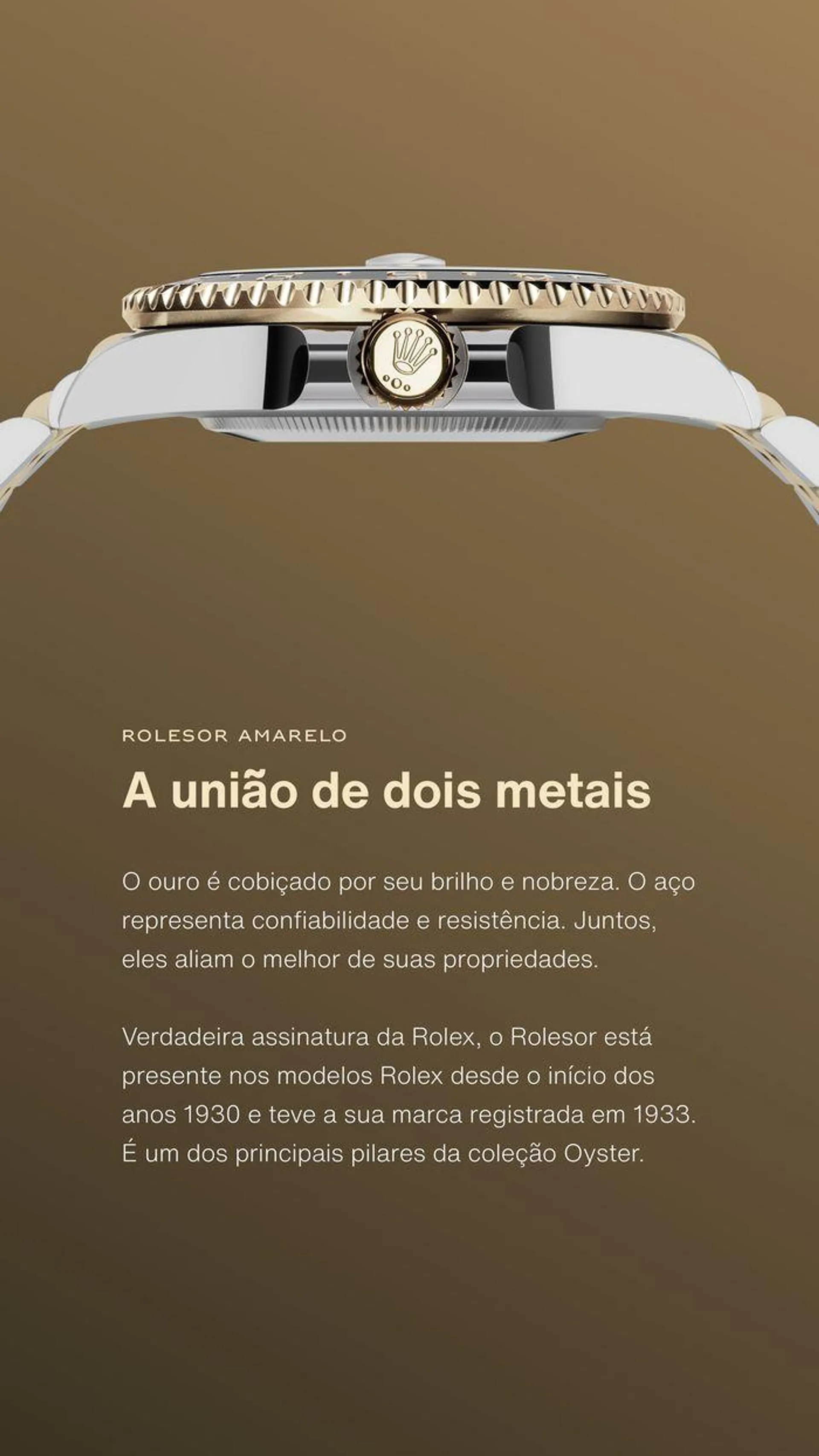  .Rolex - 6