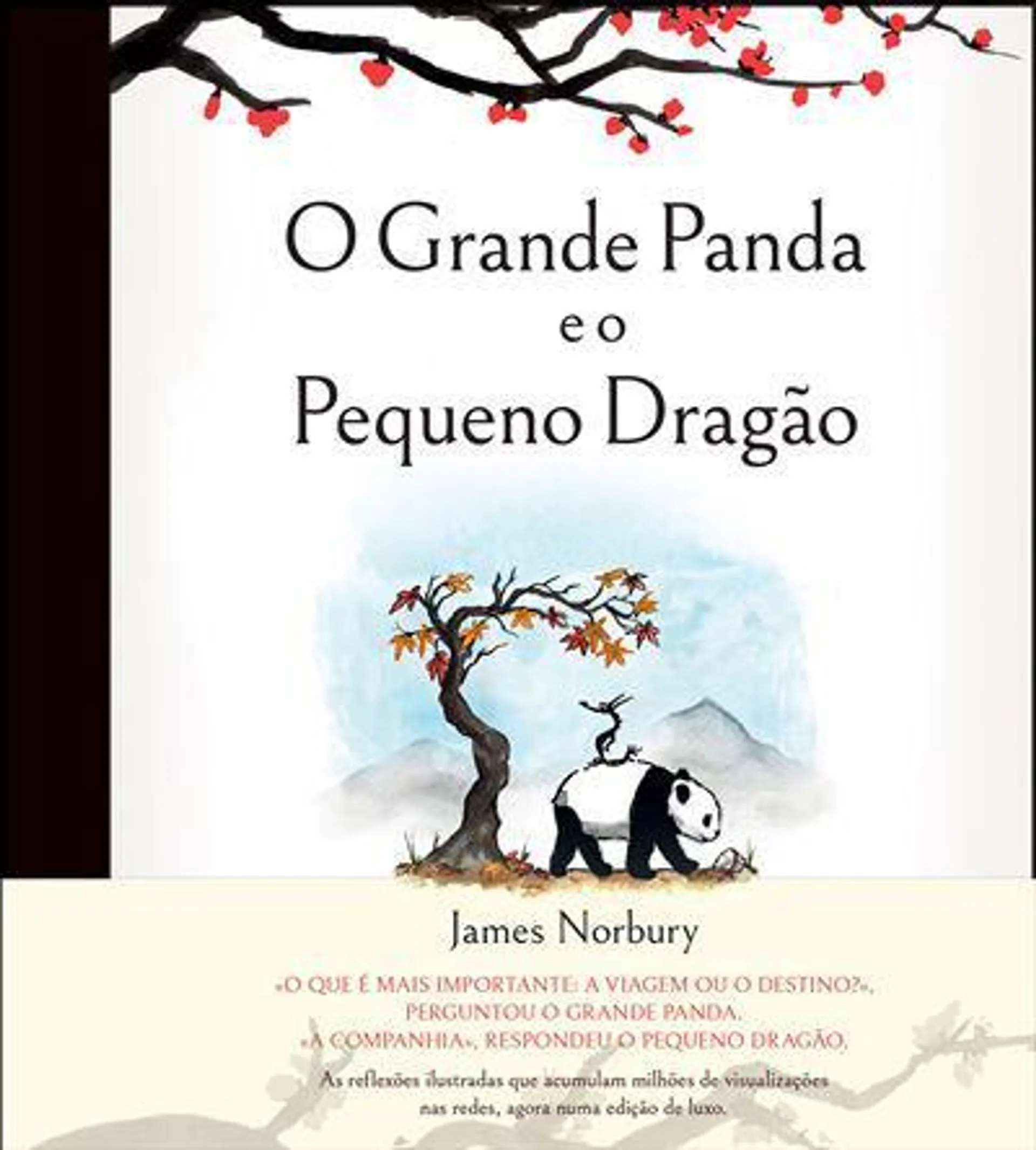 O Grande Panda e o Pequeno Dragão de James Norbury