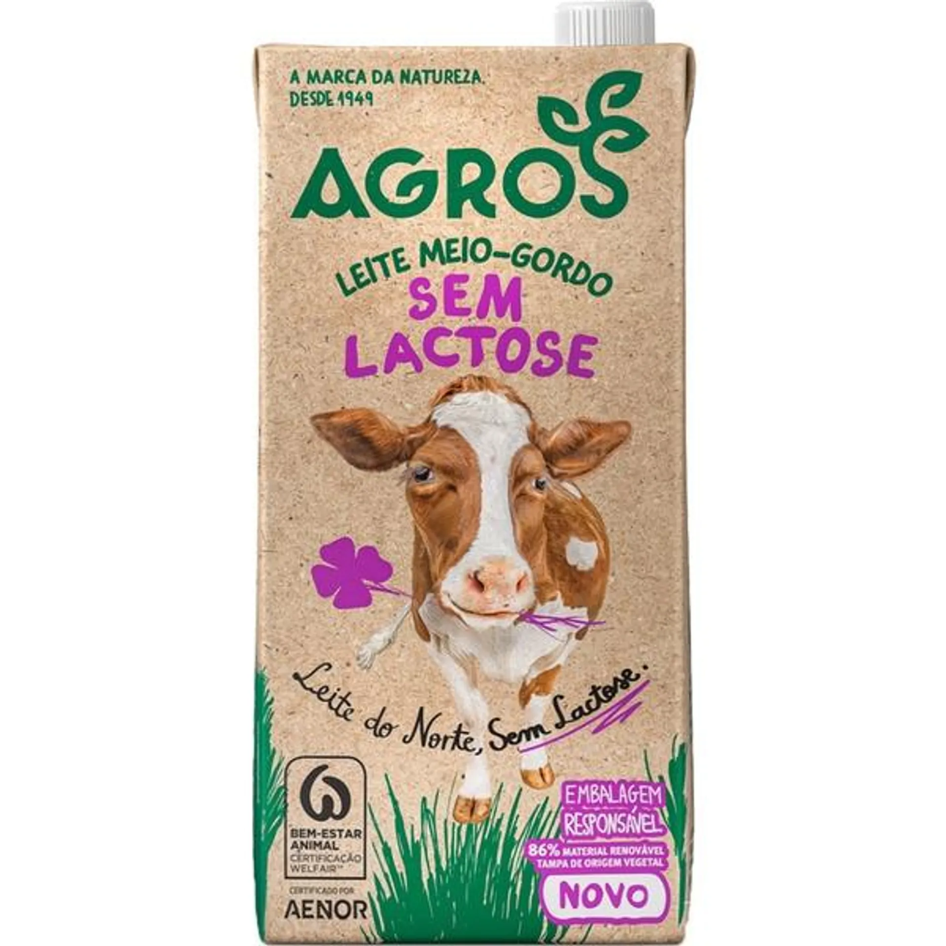 Leite Uht Meio Gordo sem Lactose 1 L Agros