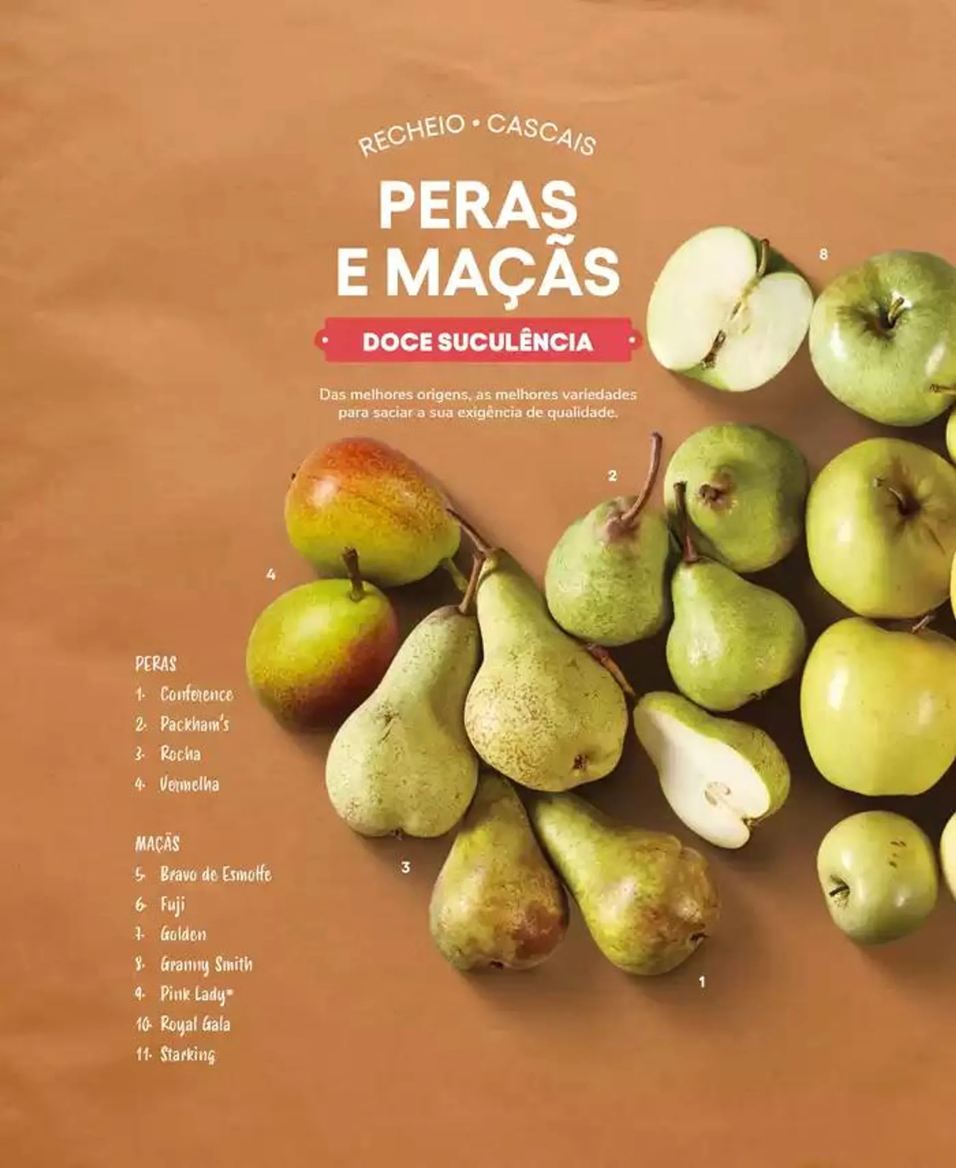 Folheto Recheio Frutas e Legumes de 19 de setembro até 31 de outubro 2024 - Pagina 66