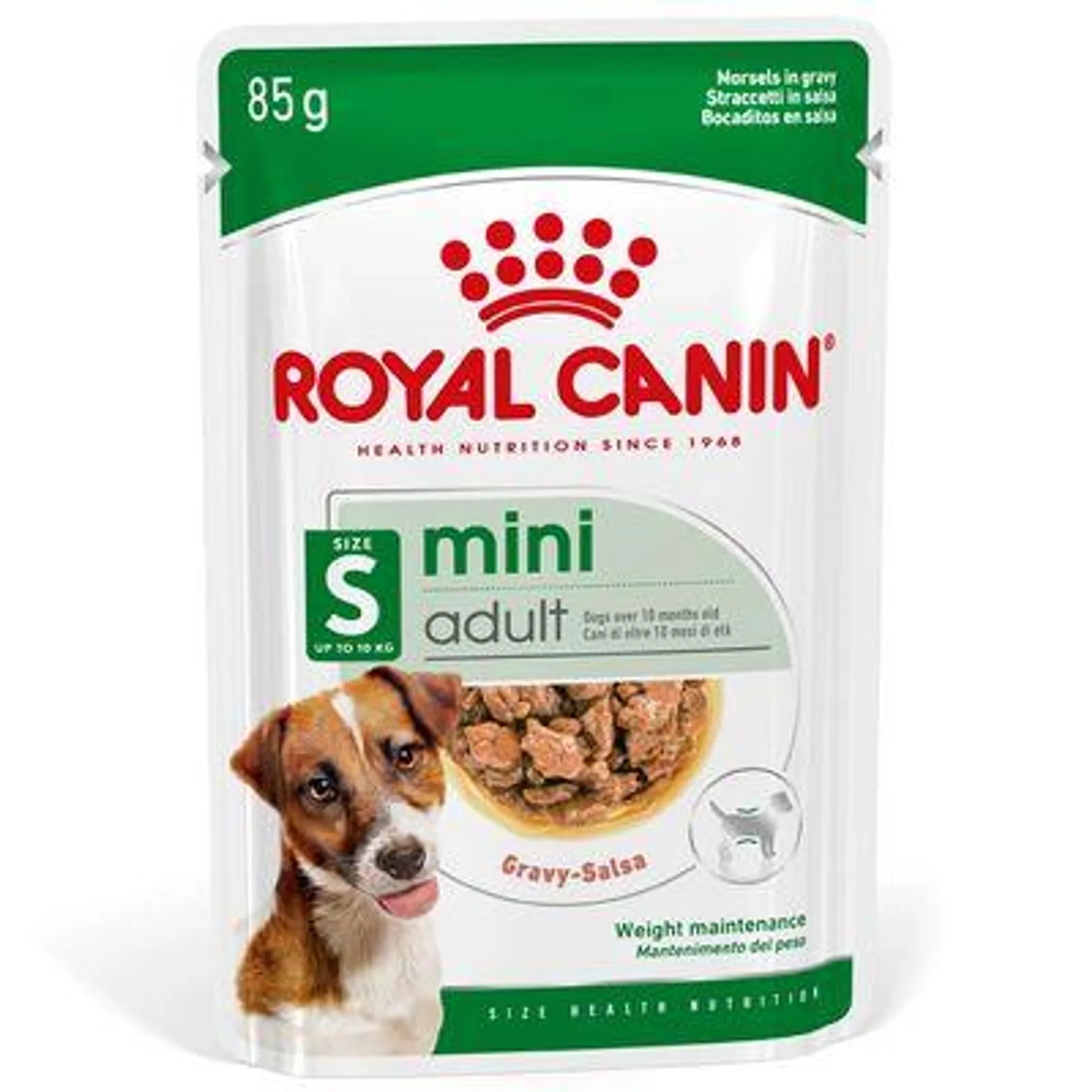 Royal Canin Mini Adult em molho