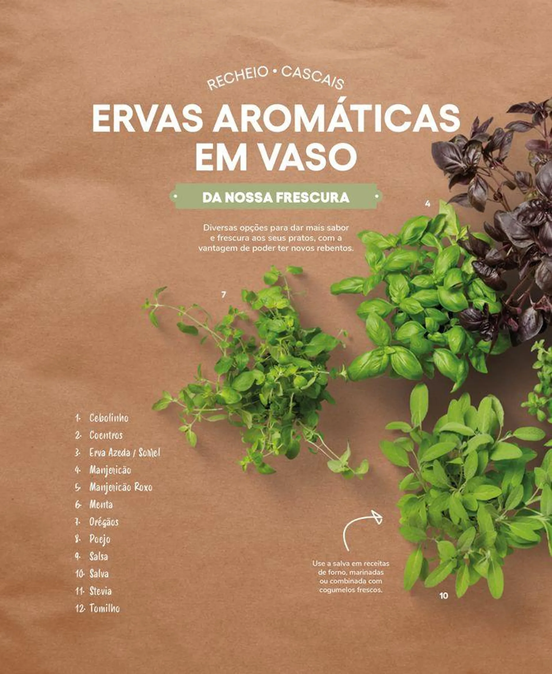 Folheto Recheio Frutas e Legumes de 19 de setembro até 31 de outubro 2024 - Pagina 58