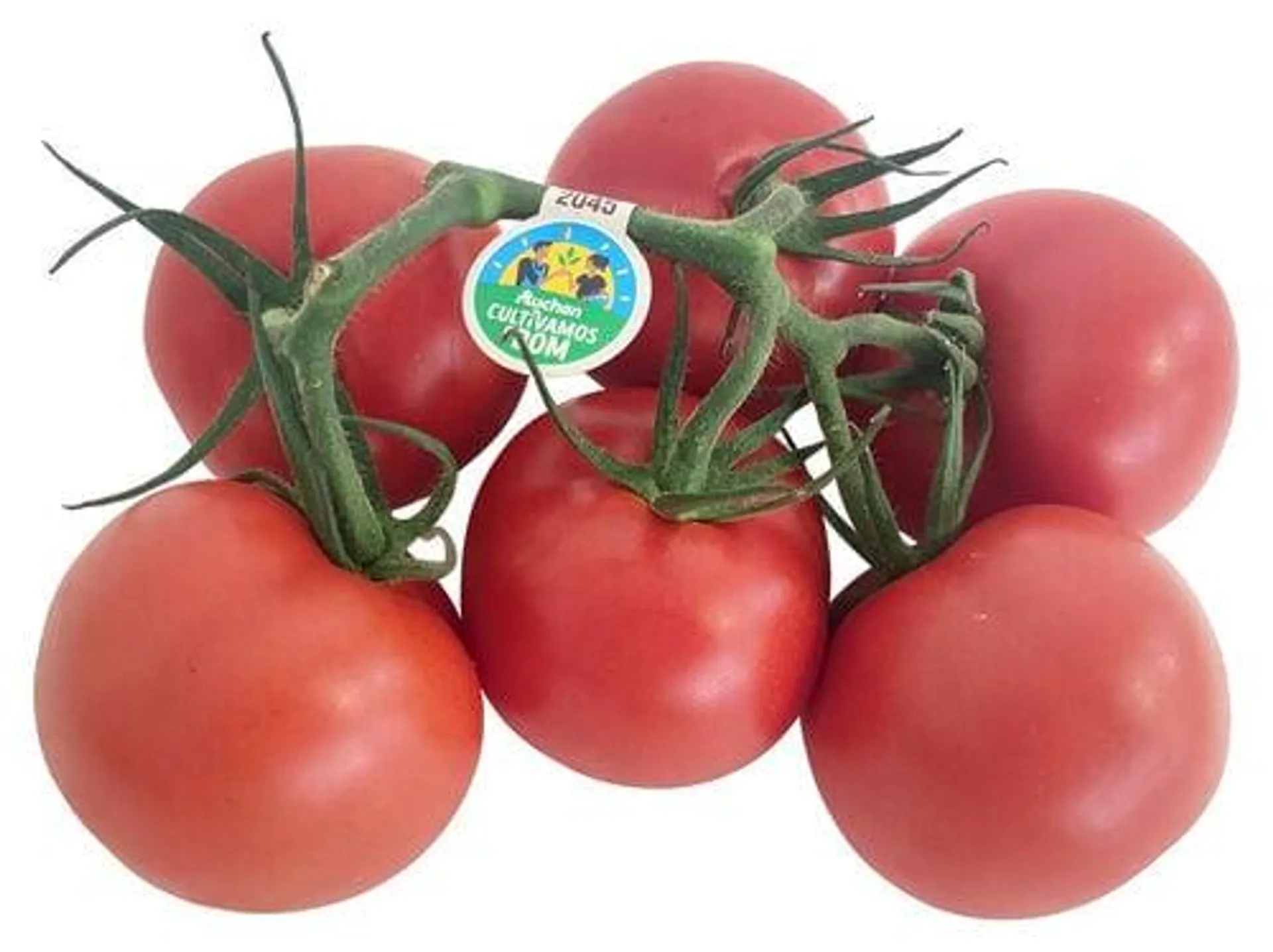 tomate rama auchan cultivamos o bom kg