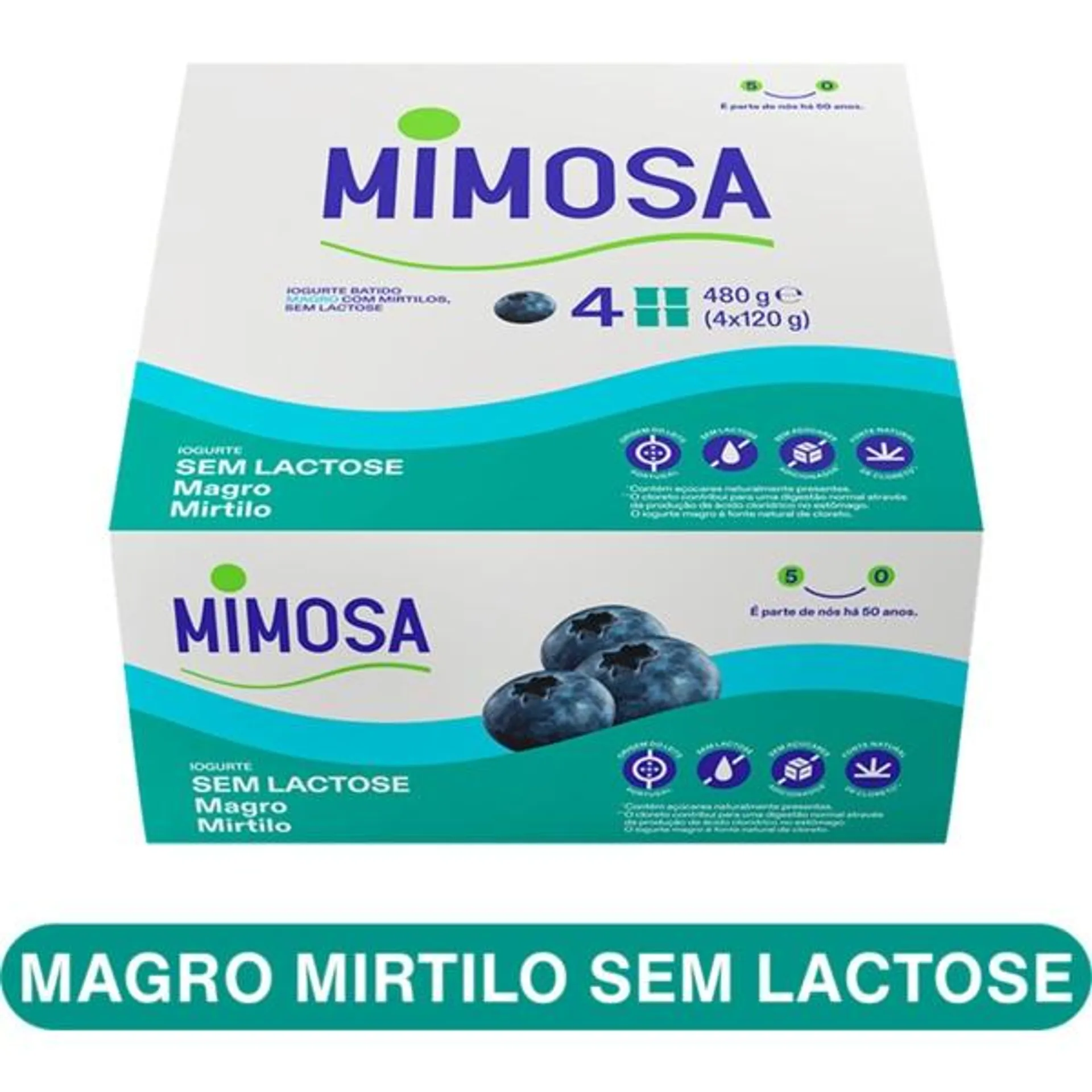 Iogurte sem Lactose Magro de Mirtilo Pack 4 unidades embalagem 120 g Mimosa