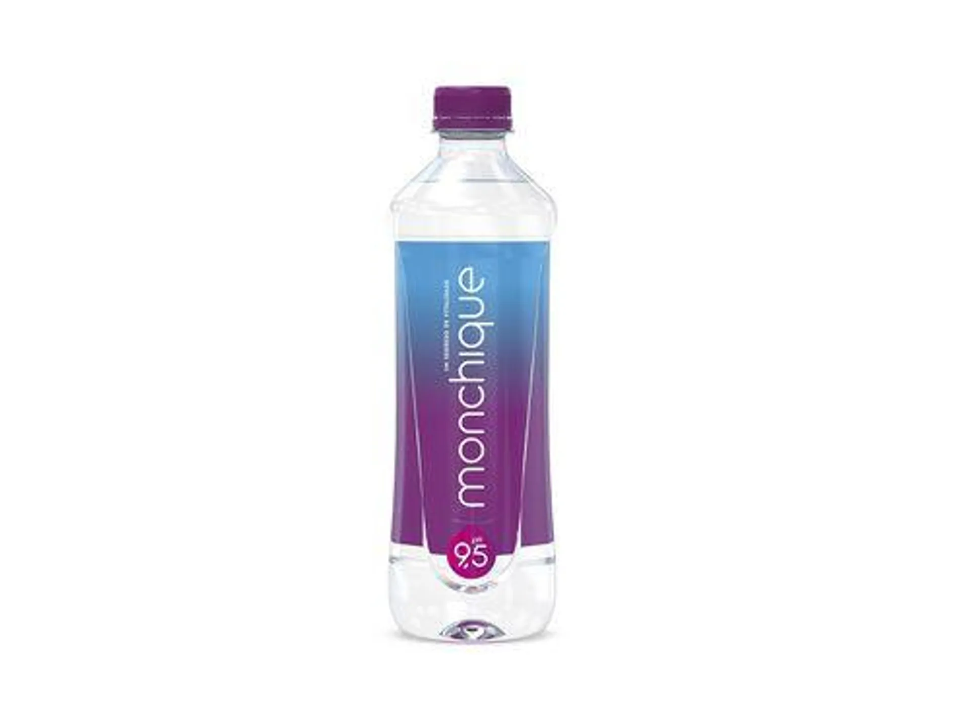 água monchique mineral natural 0.51l