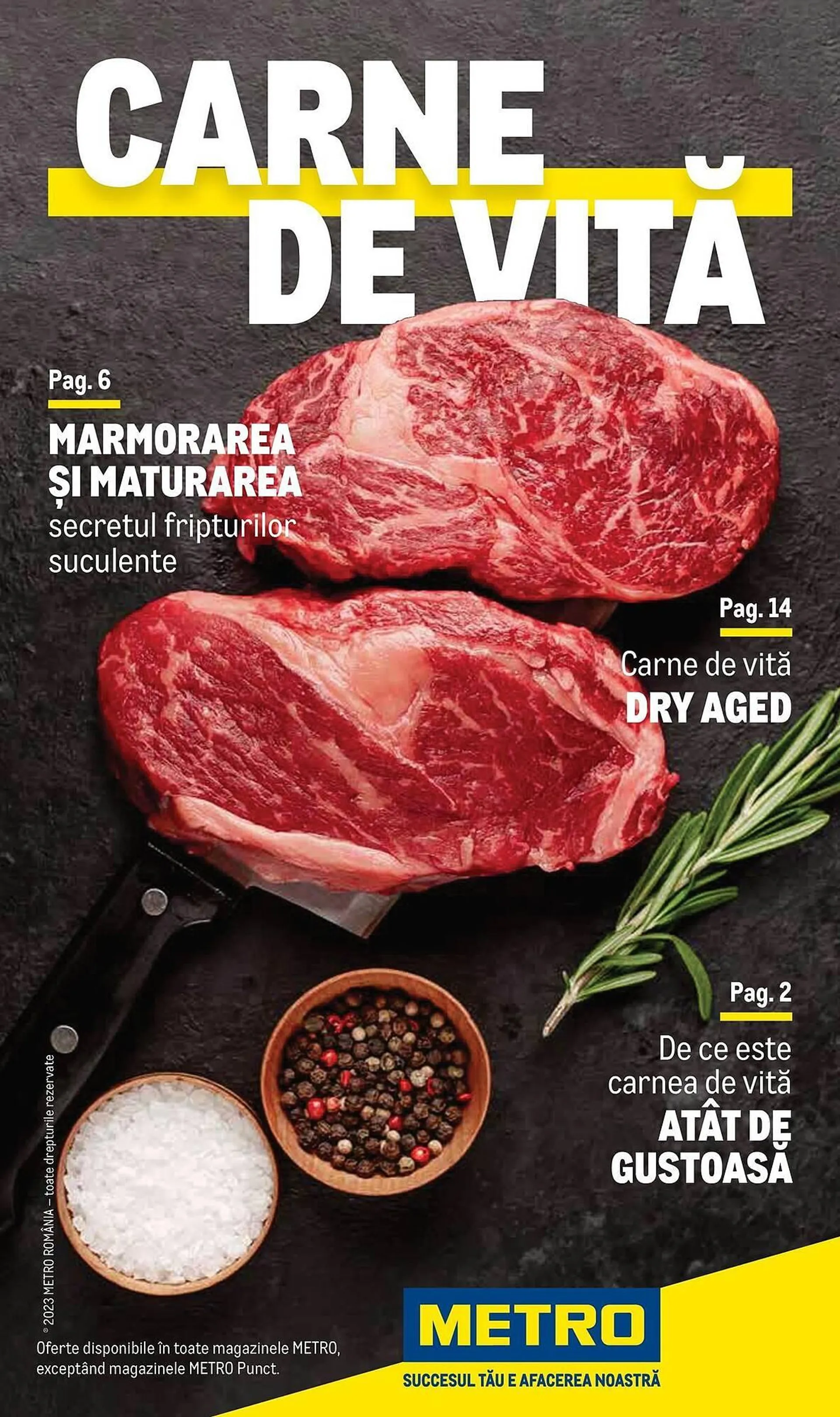 Catalog Metro - 1