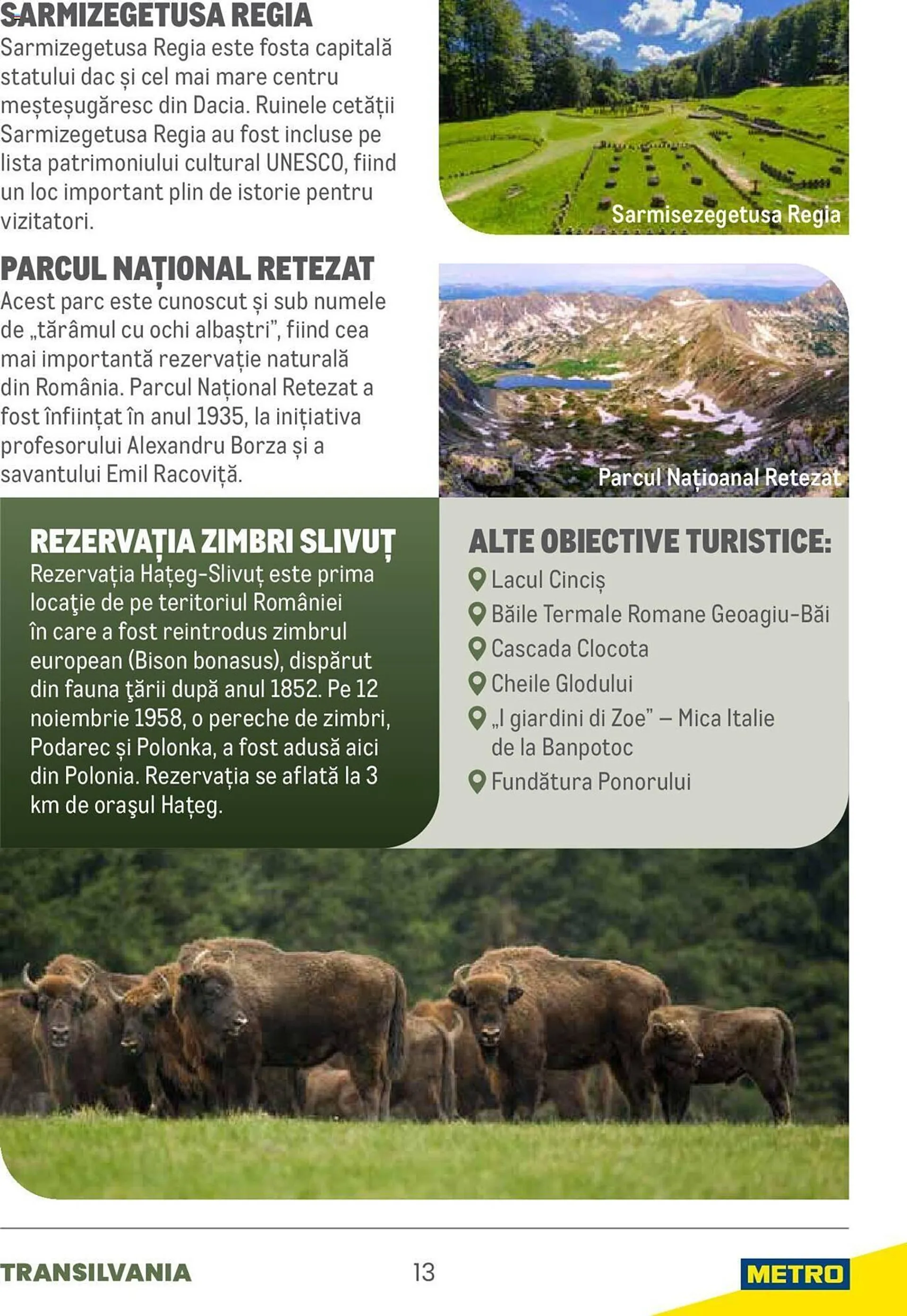 Catalog Сatalog Metro de la 22 martie până la 31 martie 2025 - Revista Pagina 13