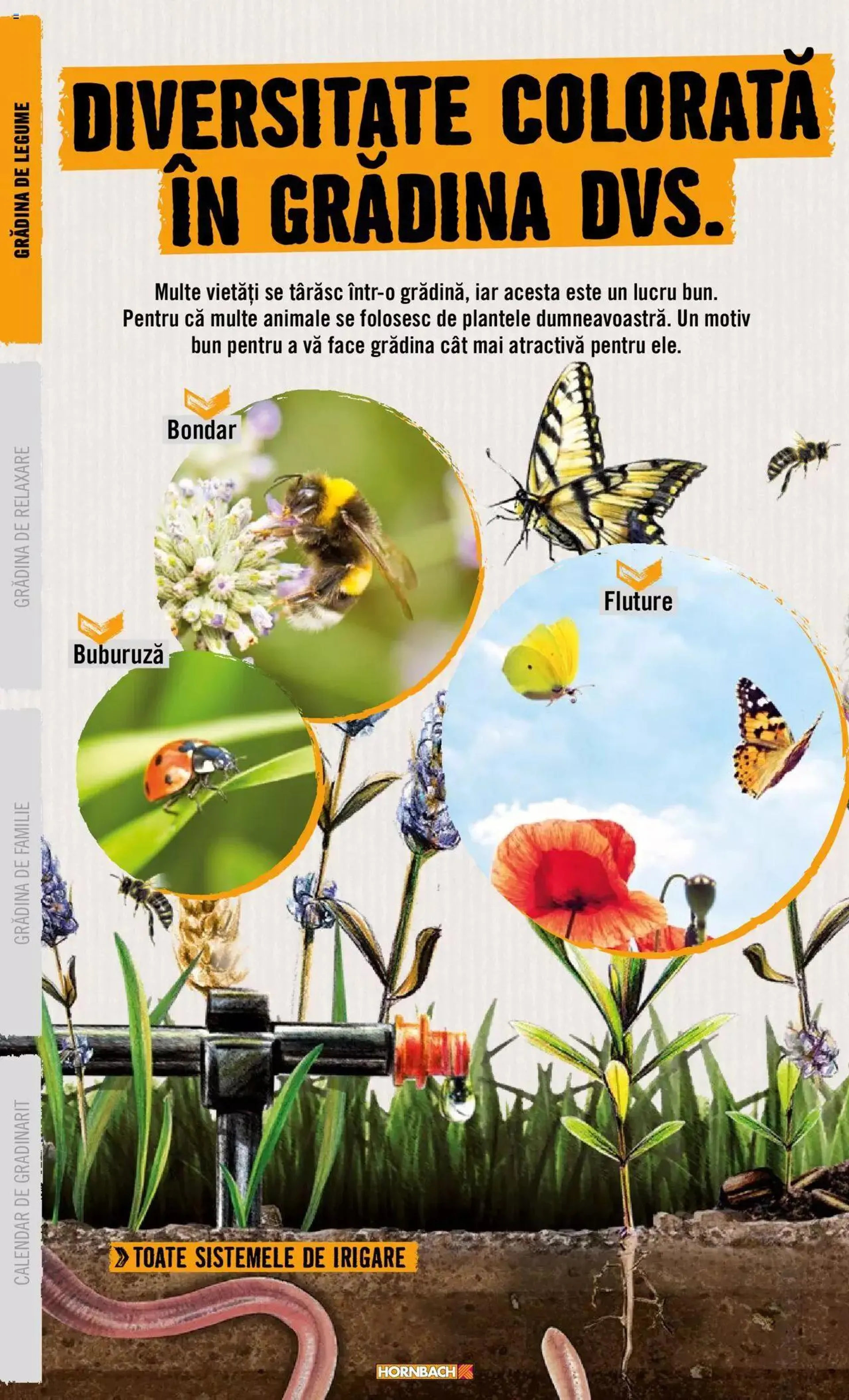 Catalog Hornbach catalog - Grădină de la 22 aprilie până la 31 decembrie 2024 - Revista Pagina 12