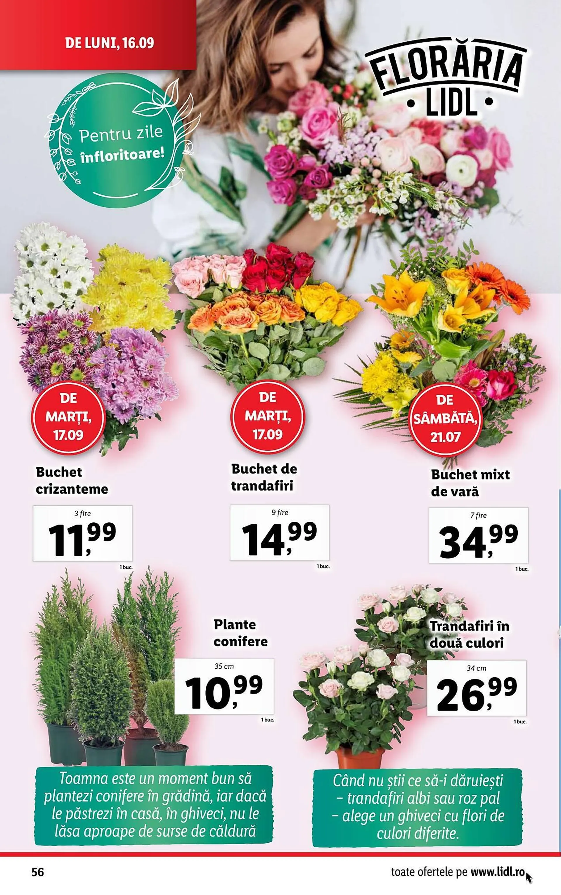 Catalog Lidl - 56