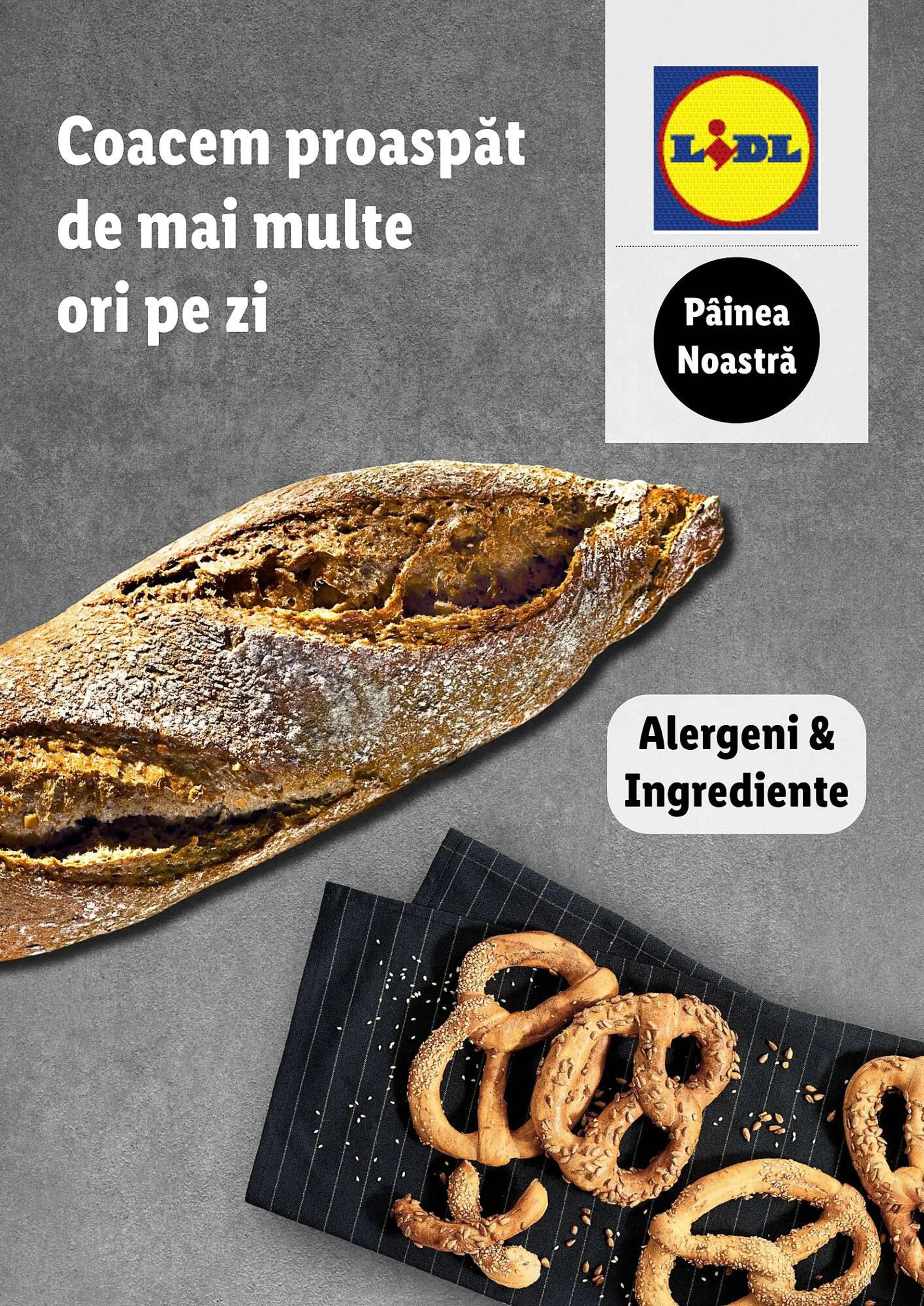 Lidl catalog